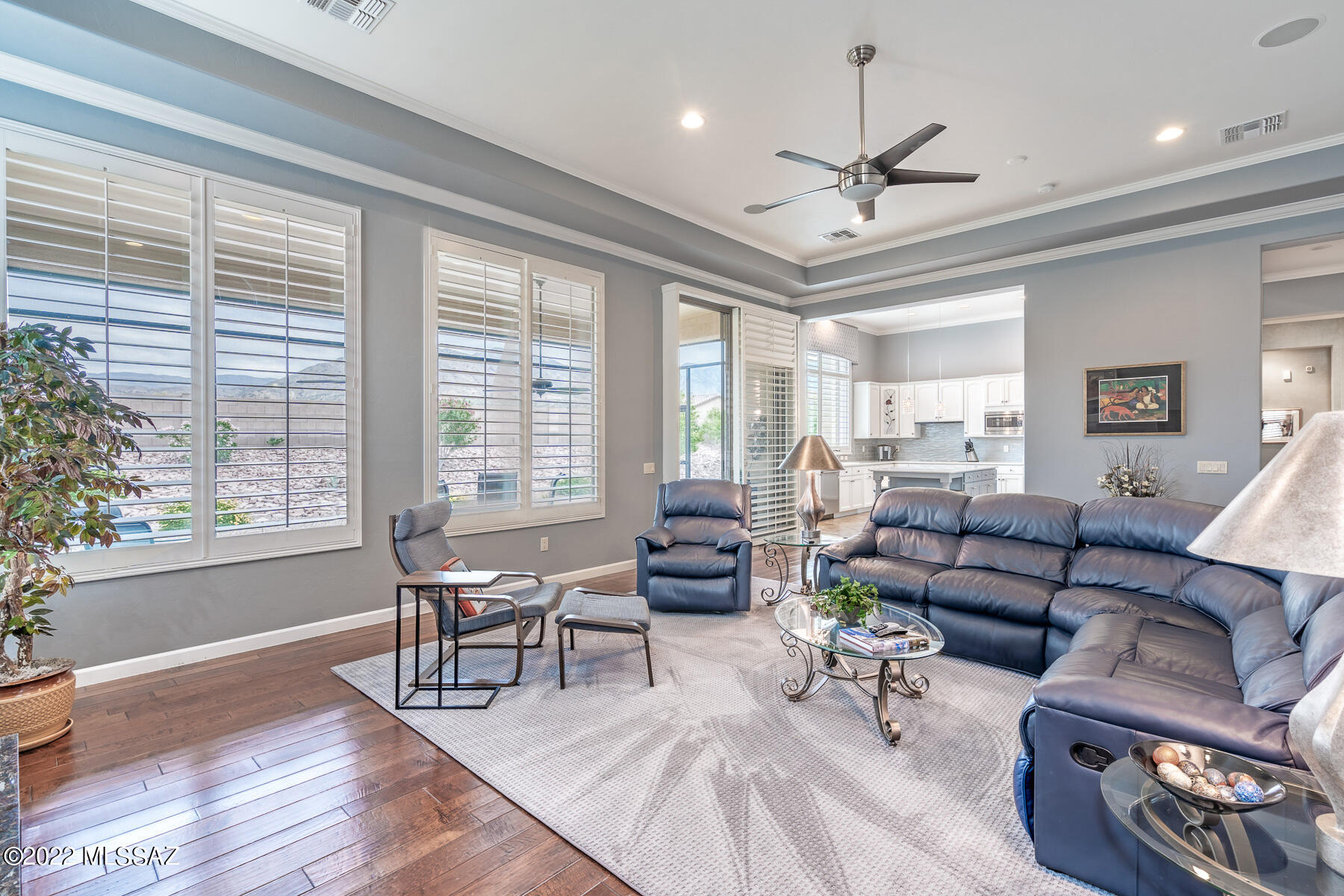 Saddlebrooke - Residential
