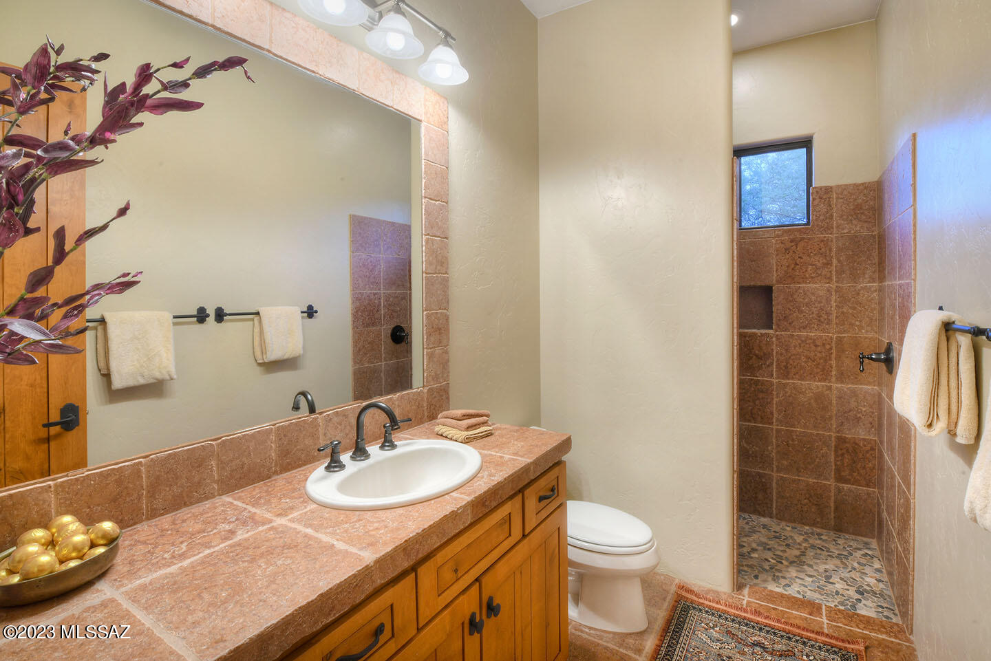 Sabino Mountain (1-290) - Residential