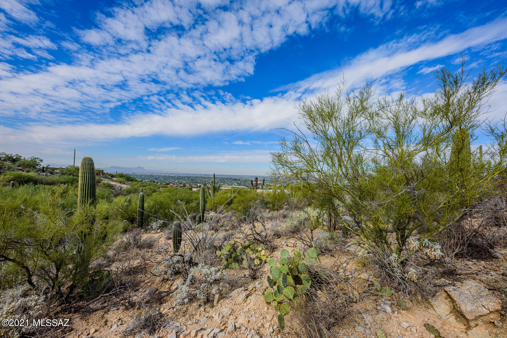 Shadow Mountain Estates - East - Residential