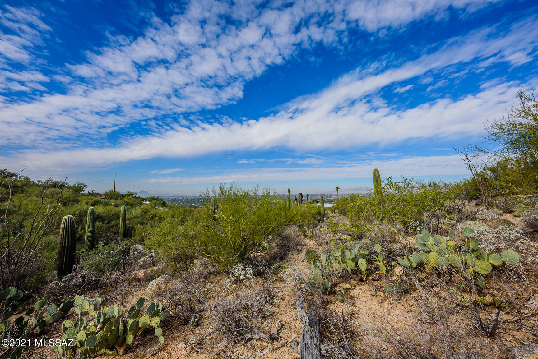Shadow Mountain Estates - East - Residential