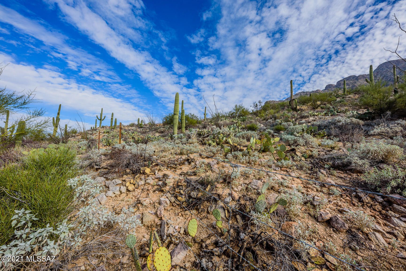 Shadow Mountain Estates - East - Residential