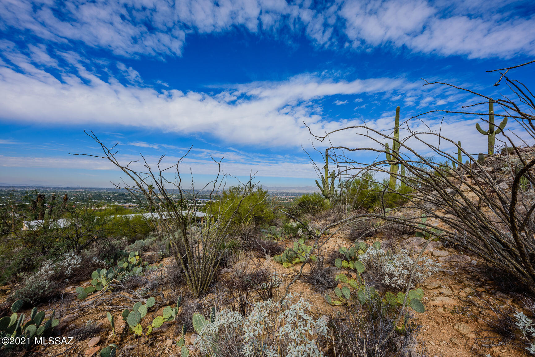 Shadow Mountain Estates - East - Residential