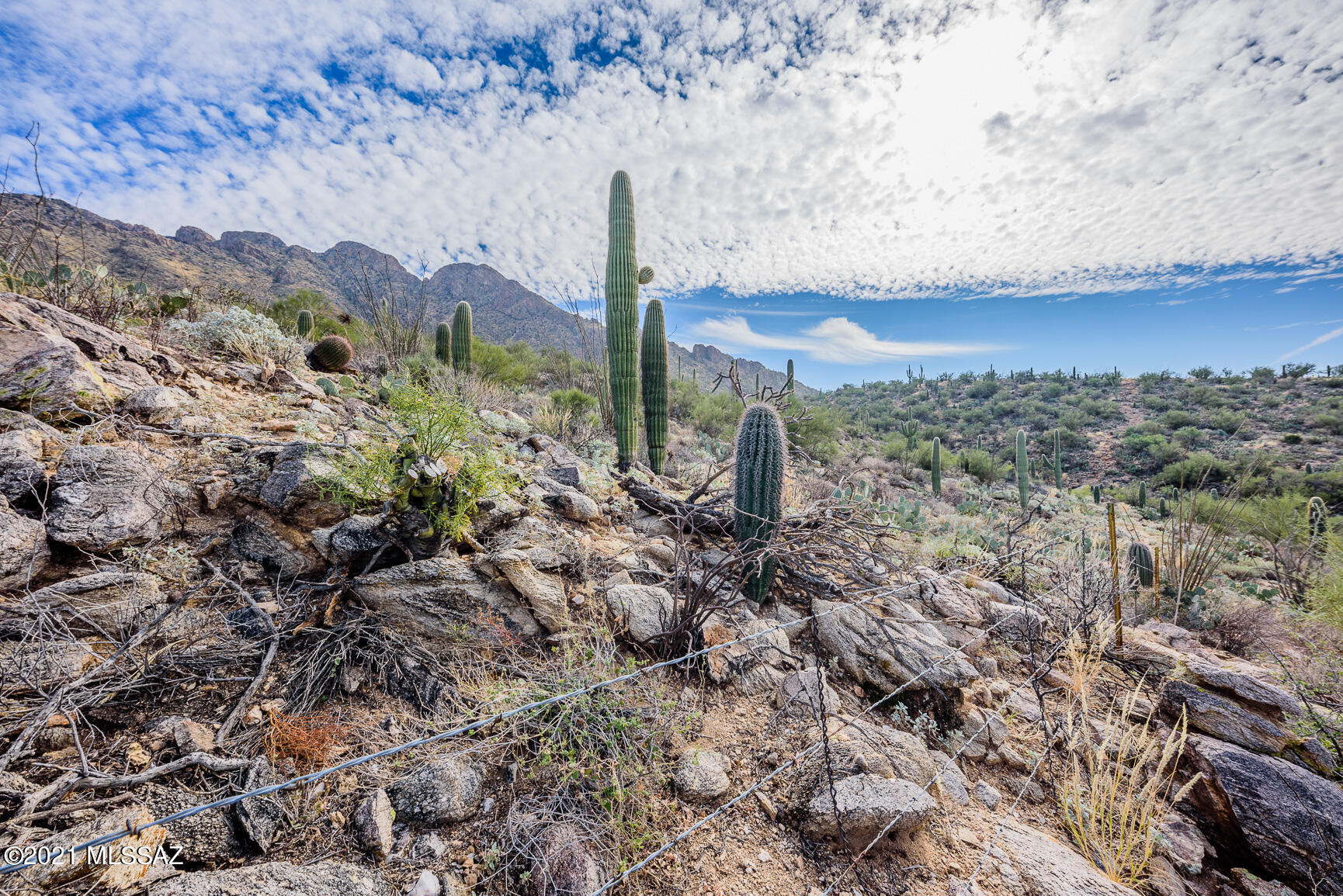 Shadow Mountain Estates - East - Residential