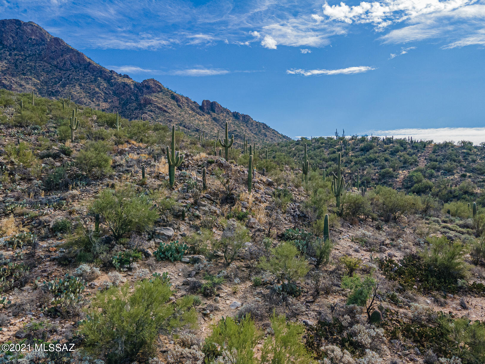 Shadow Mountain Estates - East - Residential