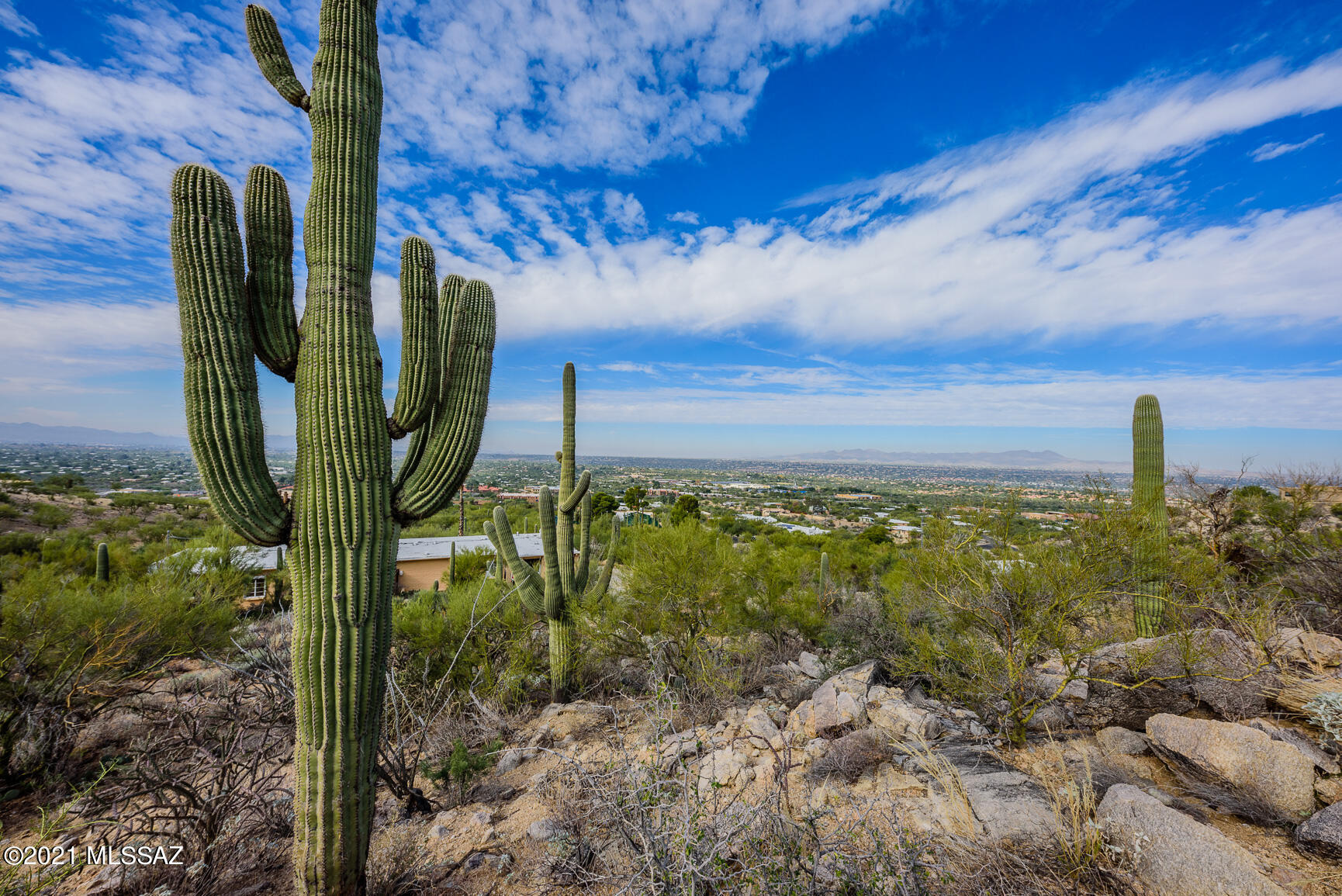 Shadow Mountain Estates - East - Residential