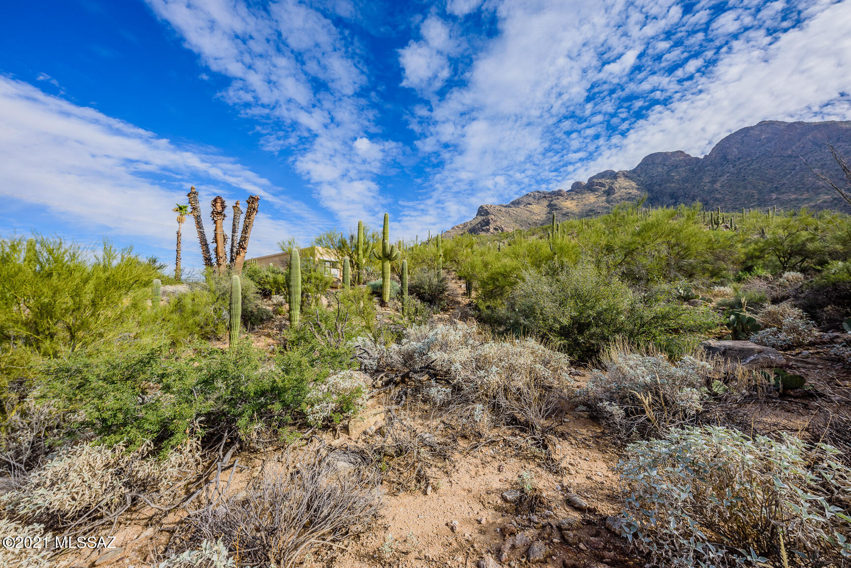 Shadow Mountain Estates - East - Residential