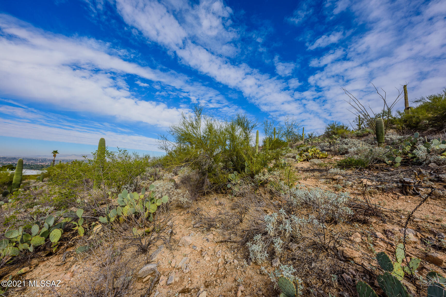 Shadow Mountain Estates - East - Residential