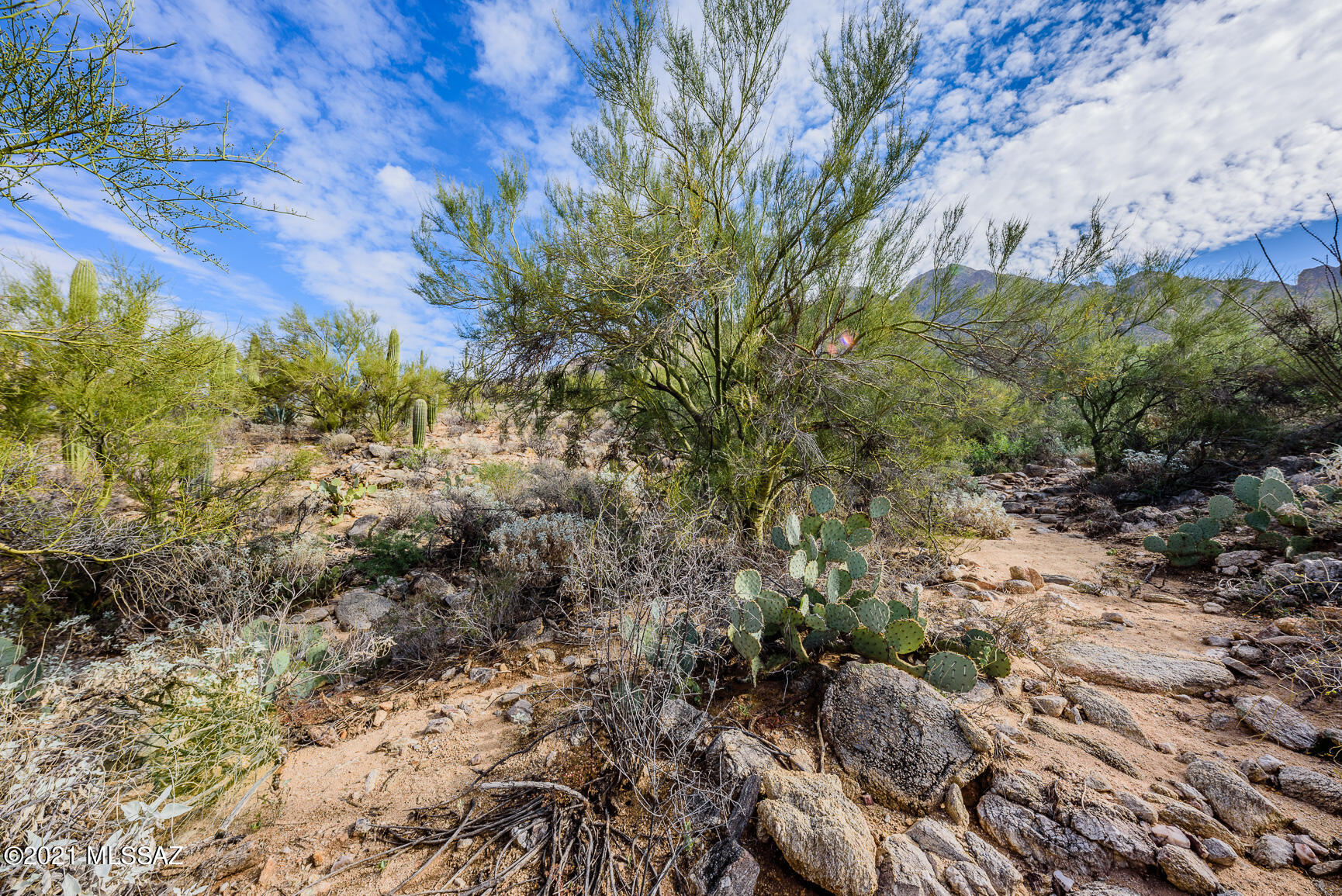 Shadow Mountain Estates - East - Residential