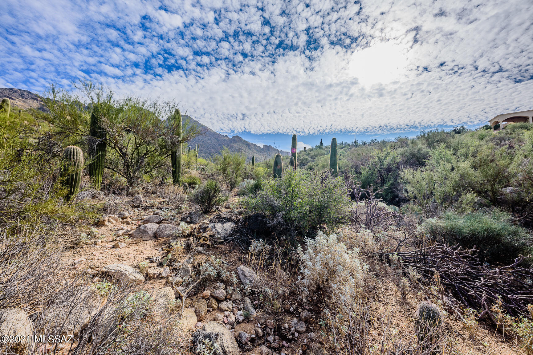 Shadow Mountain Estates - East - Residential