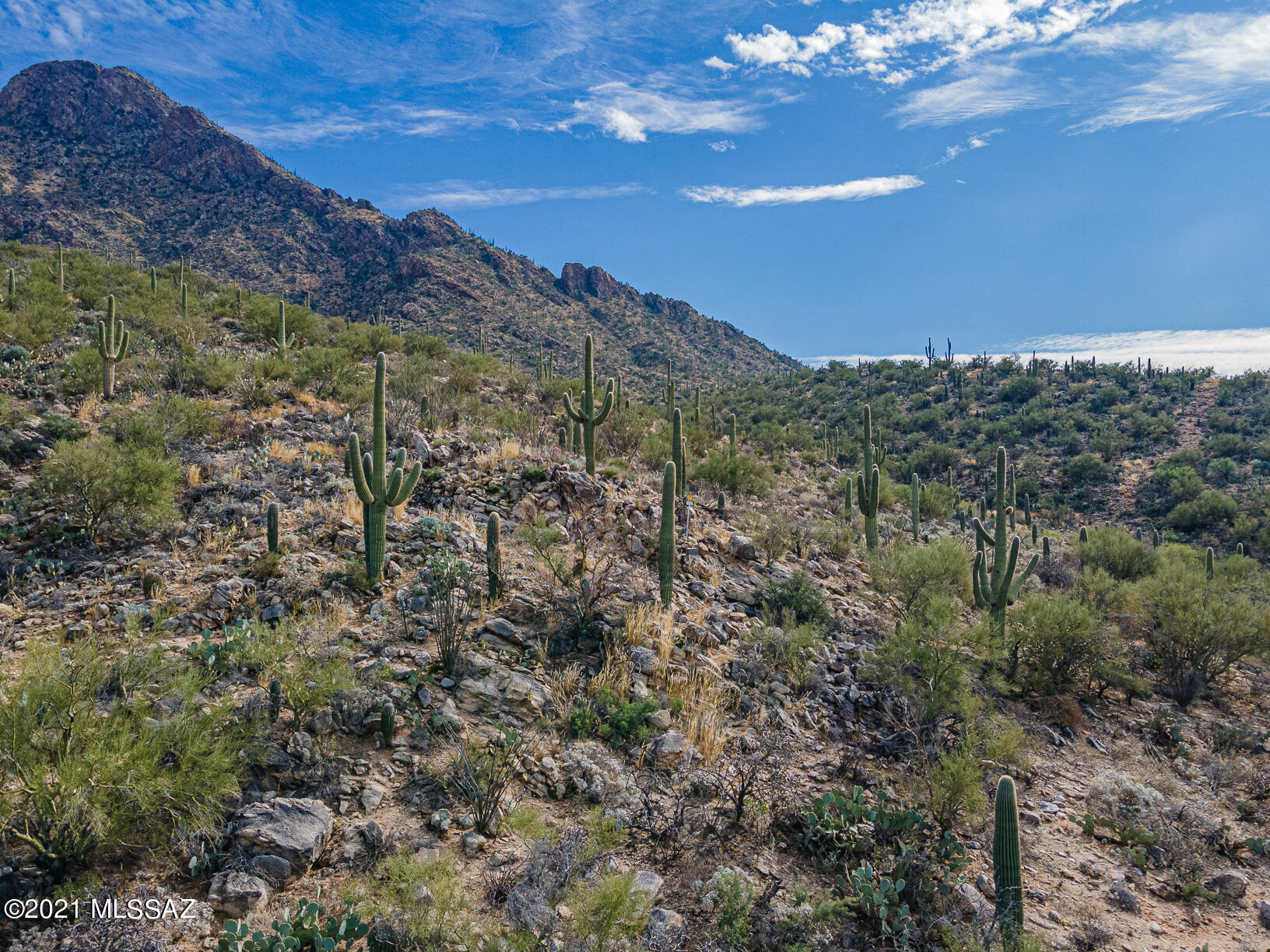 Shadow Mountain Estates - East - Residential