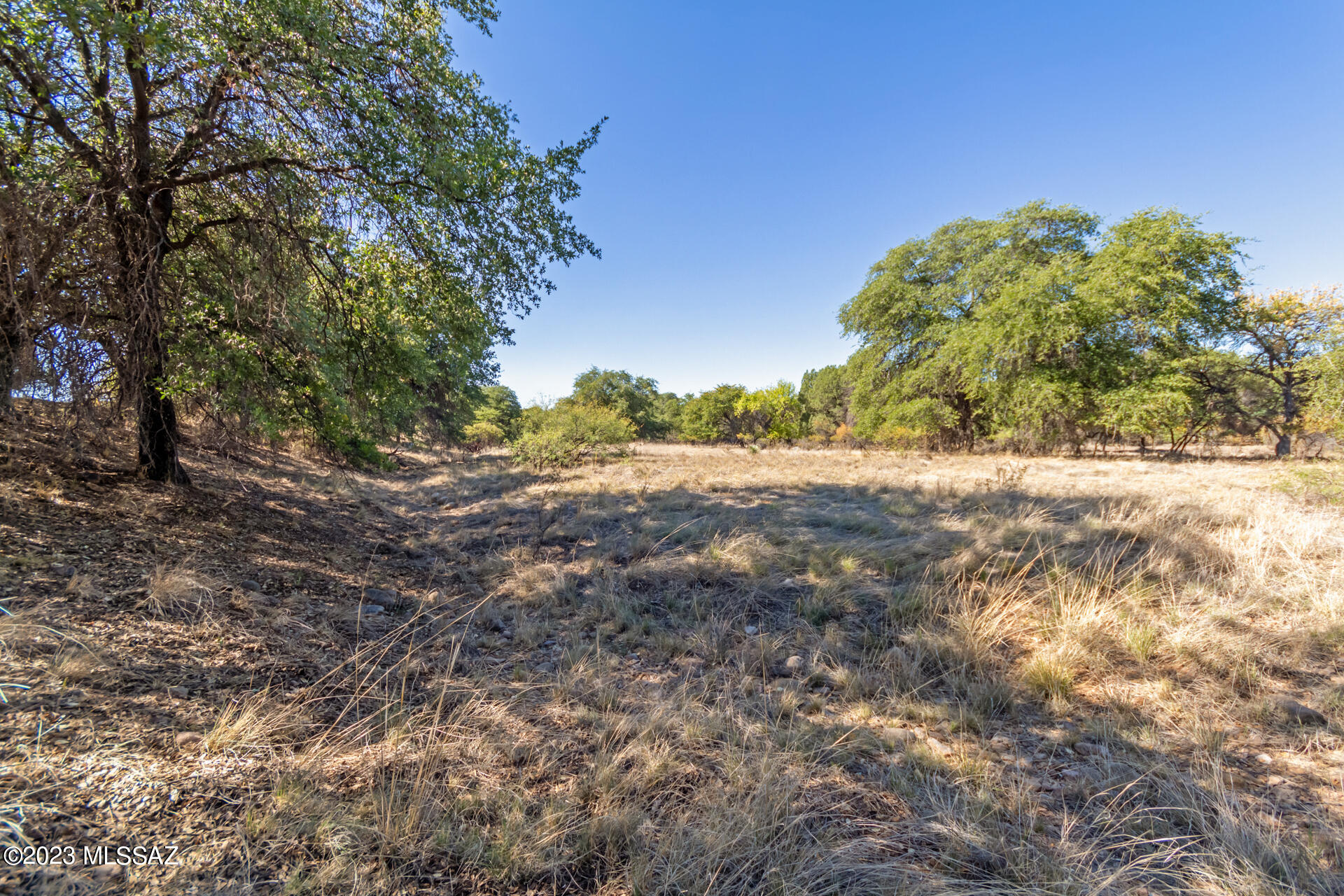 Turkey Creek Ranch - Residential