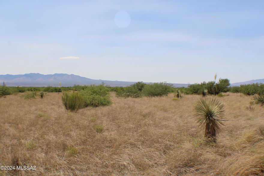 Spectacular property with gorgeous 360 view of the Dragoon Mtns and Whetstone Mtns. Dragoon Mountain Ranch subdivision is in St David AZ. The ranch consists of approximately 14,000 acres and adjoins 52,000 acres of the Coronado National Forest wilderness area. The ranch is also adjacent to thousands of acres of State Trust lands. Both the National Forest and State Trust lands provide a wildlife sanctuary. Originally the Horse Ranch was established in the 1800's. Cochise Stronghold is in the Dragoon Mnts. The adjacent Dragoons as well as the Rincons range to an elevation of over 7000 feet. Nearby towns and cities are Benson, Bisbee, Tombstone, Willcox and Sierra Vista all in Cochise County.Tucson approx an hour drive from the ranch