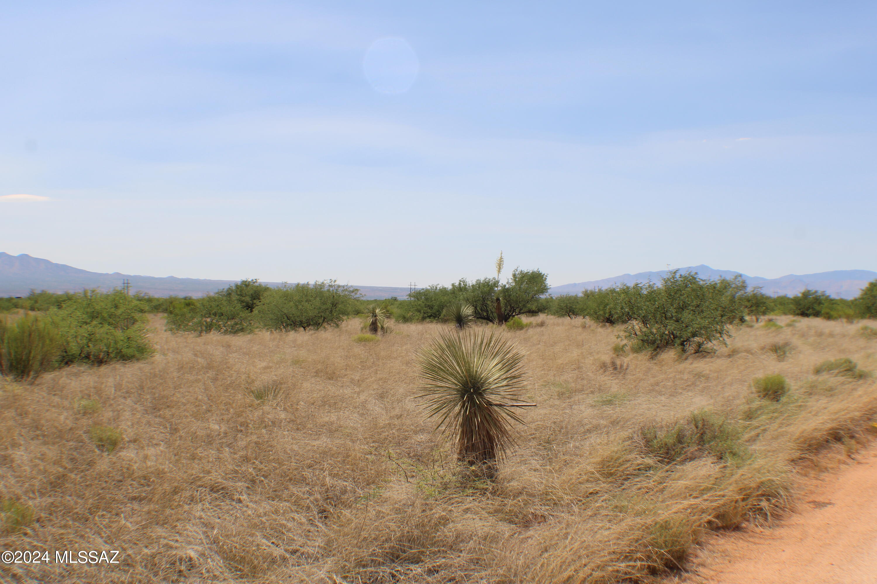 Dragoon Mountain Ranch - Land