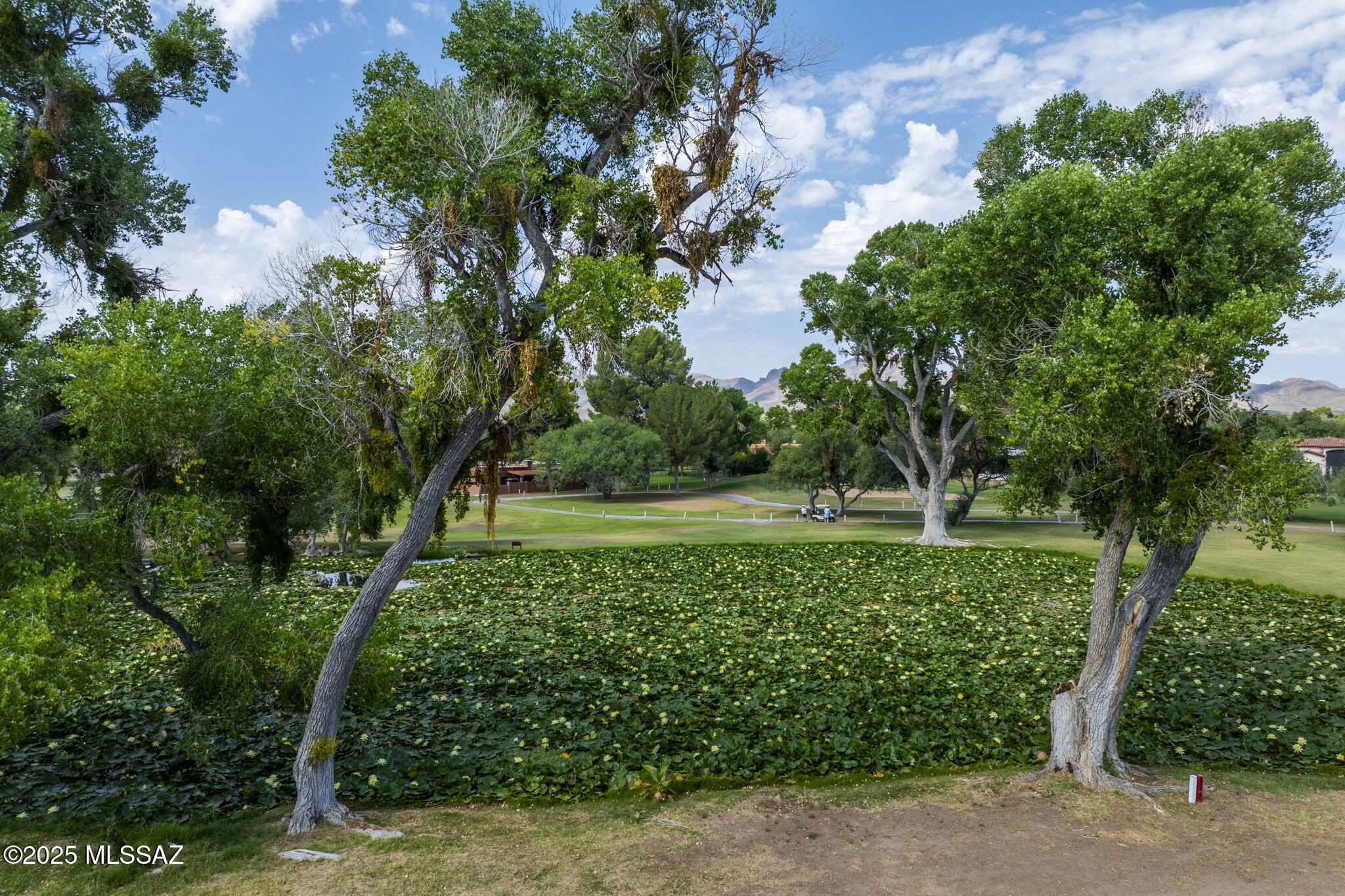 Tubac Golf Resort Homes - Residential