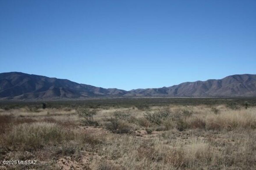 Discover your slice of paradise in Cochise, AZ, where 3.21 acres of pristine vacant land await your vision. Nestled against the breathtaking backdrop of the Dragoon Mountains and the historic Cochise Stronghold, this property offers not just land, but a lifestyle immersed in nature's beauty. With a mild climate and an elevation of approximately 4,300 feet, every day feels like a retreat. Just an hour's drive from Tucson and only 30 minutes to the charming towns of Willcox and Benson, you're perfectly positioned to enjoy both tranquility and convenience. Whether you dream of building a serene getaway, a family estate, or an adventurous outdoor playground, this stunning landscape invites you to create your own oasis. Embrace the opportunity to live where the mountains meet the sky .