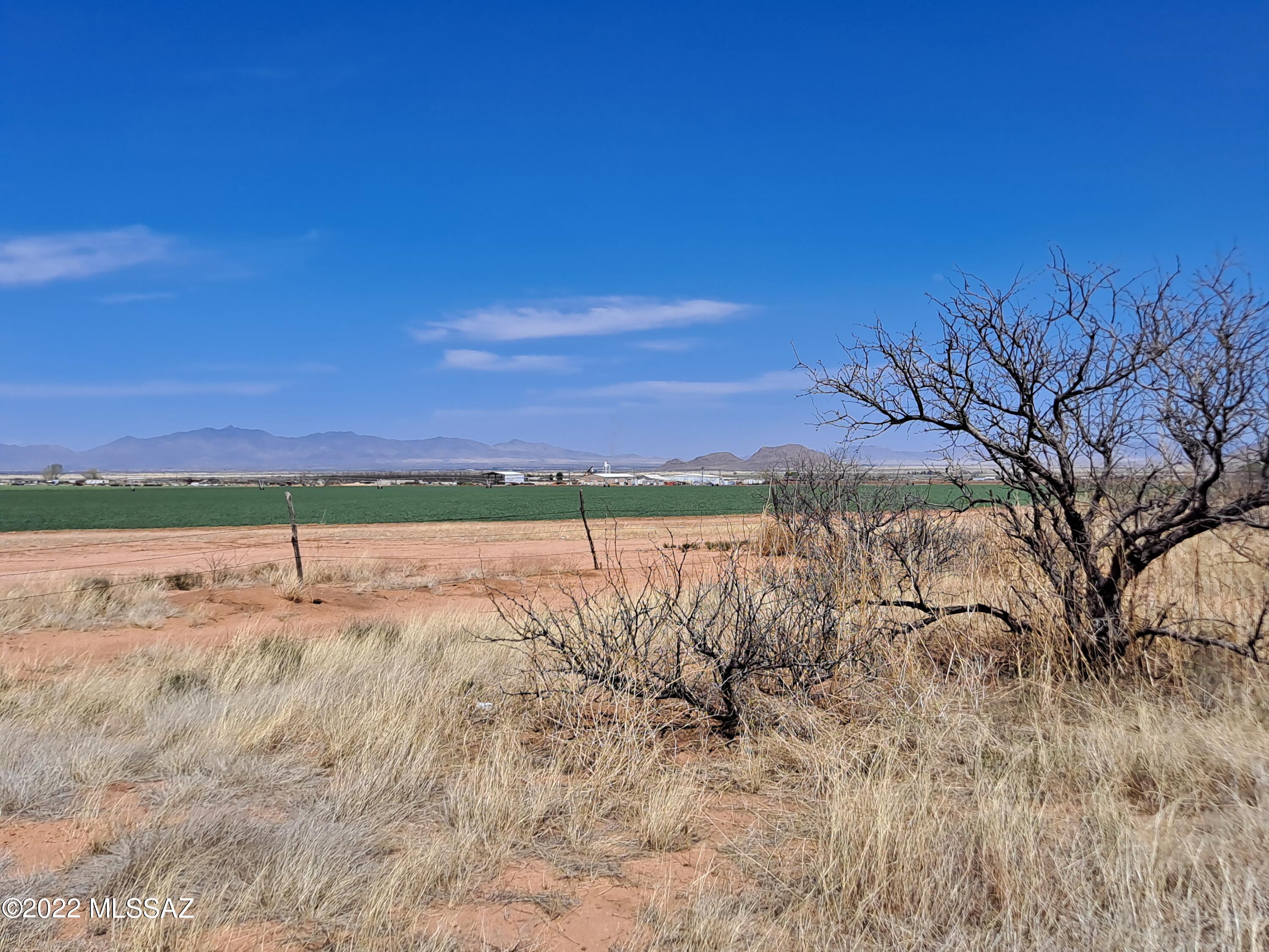 Out Of Pima County - Land