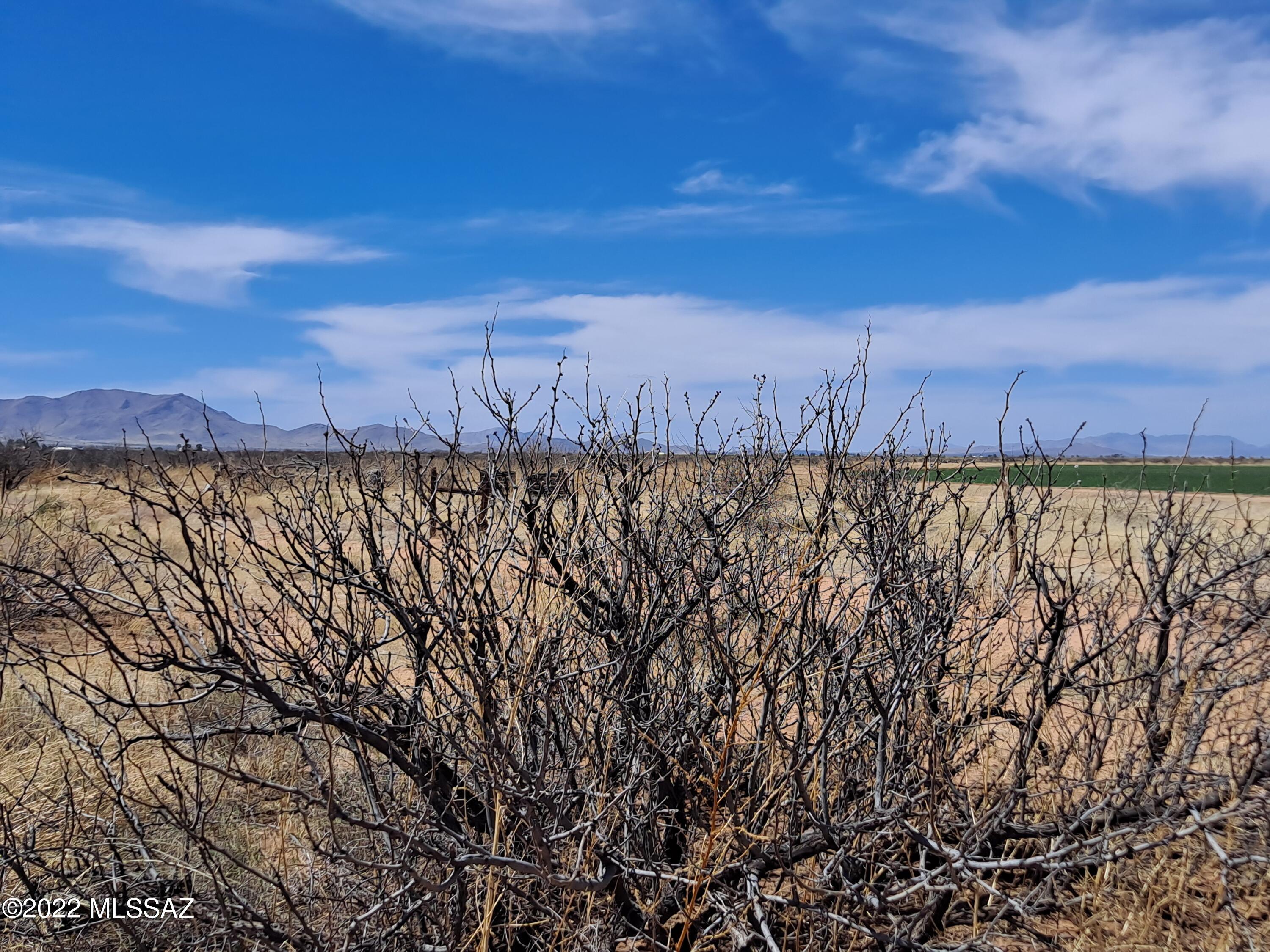 Out Of Pima County - Land