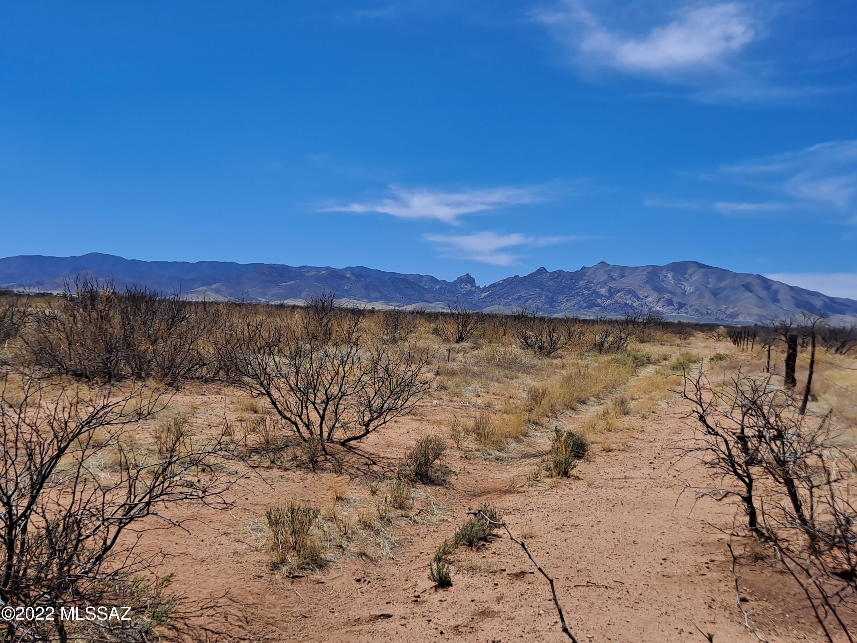 Out Of Pima County - Land