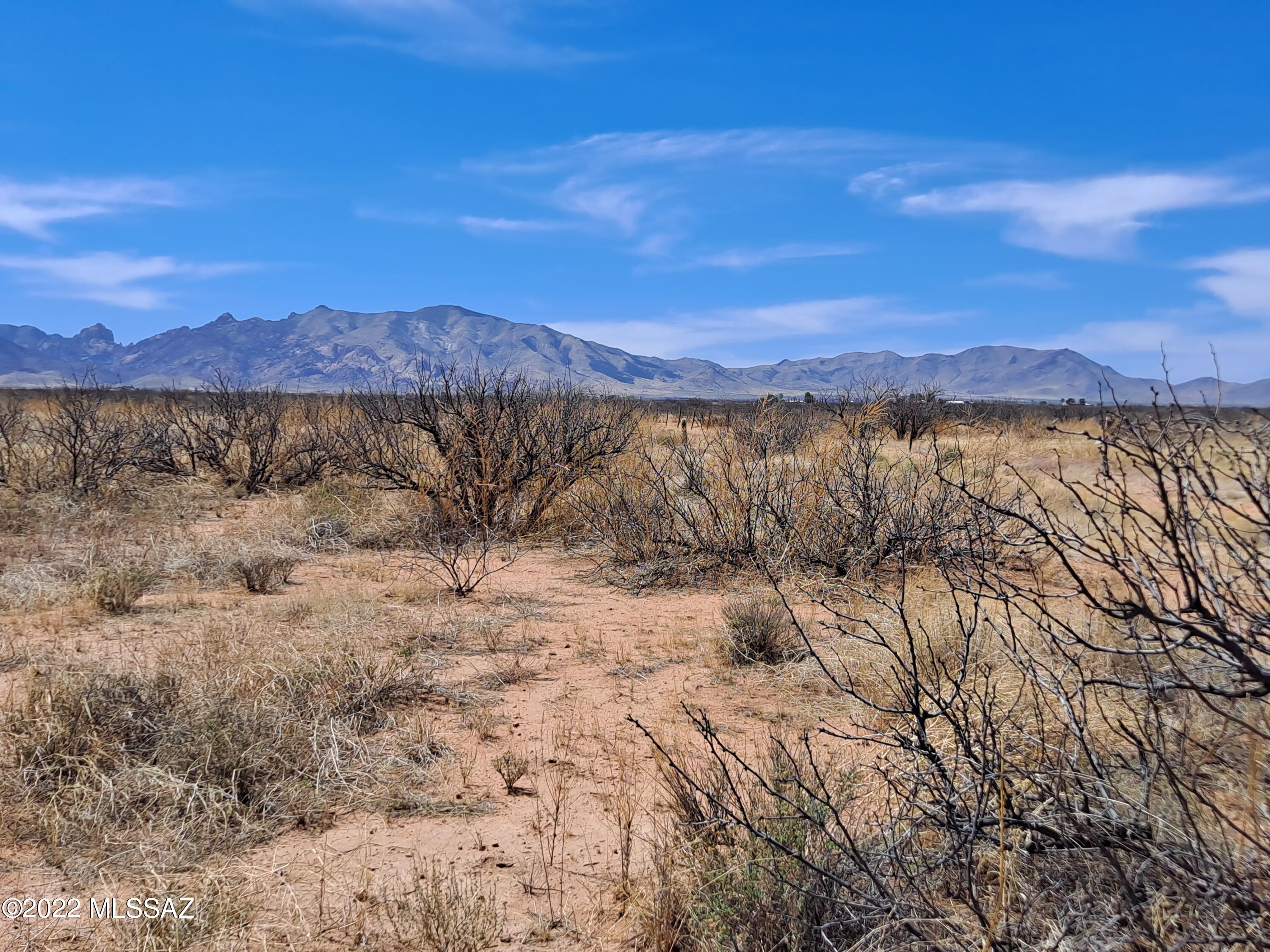 Out Of Pima County - Land