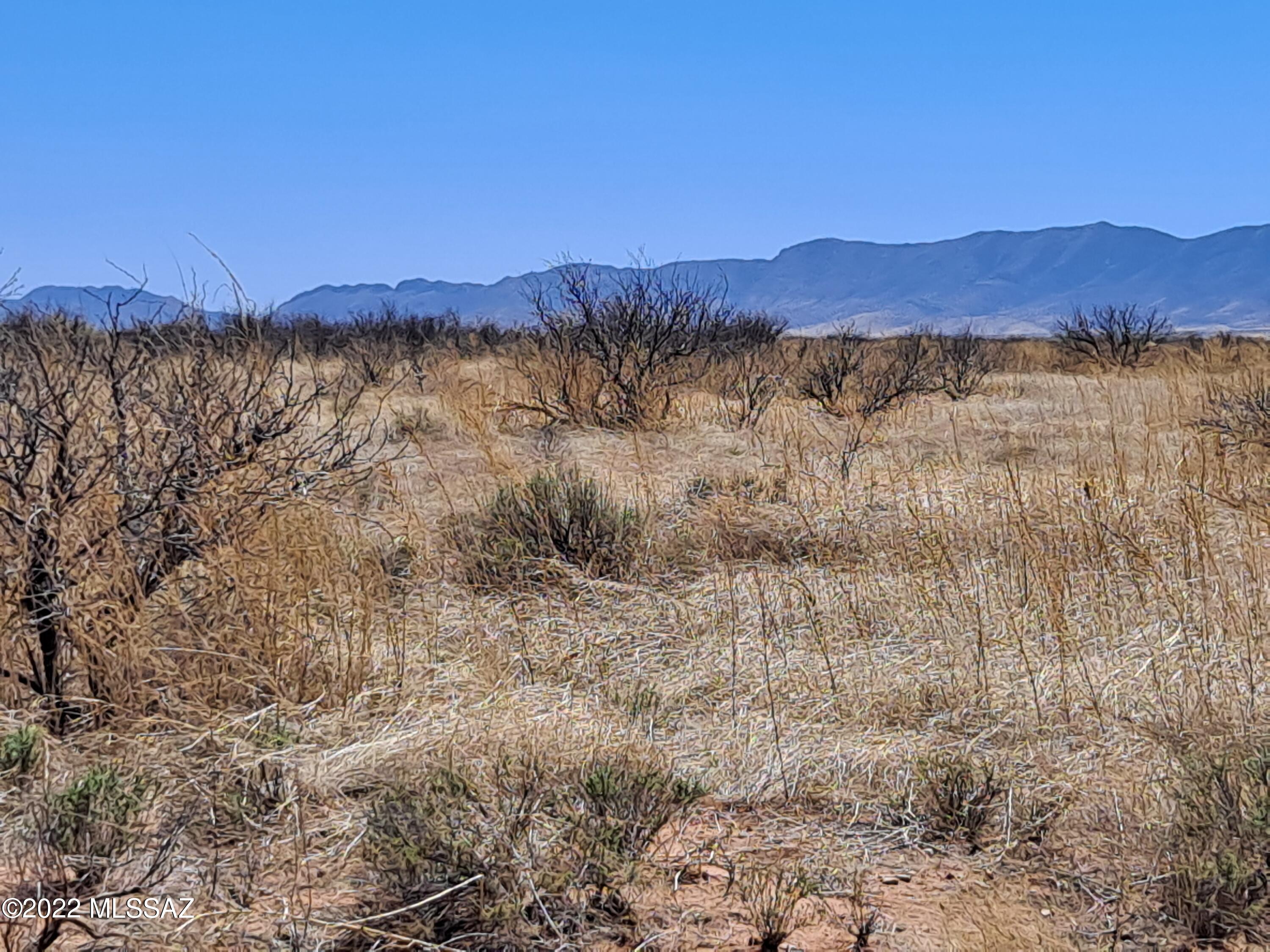 Out Of Pima County - Land