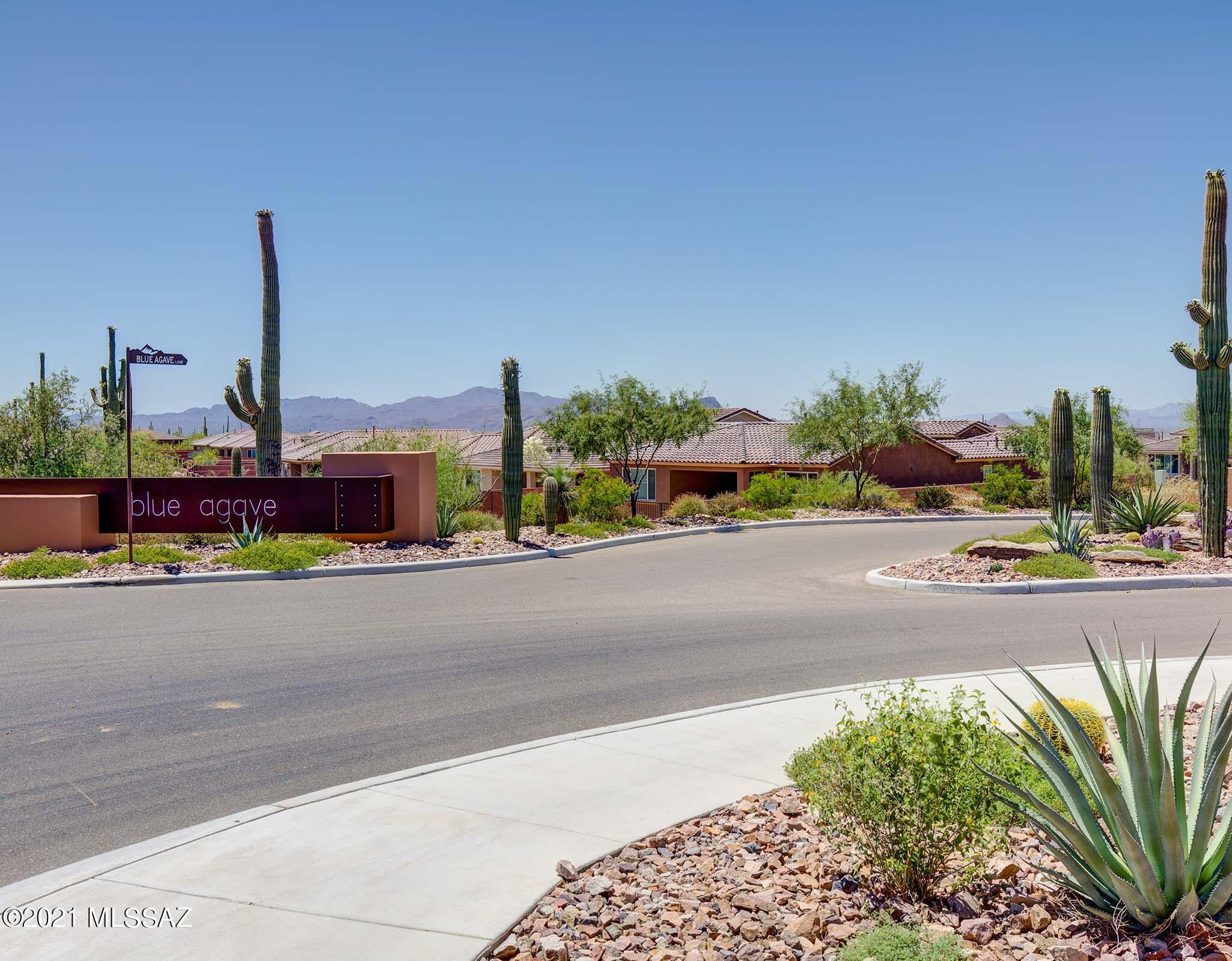 Blue Agave At Dove Mountain - Residential