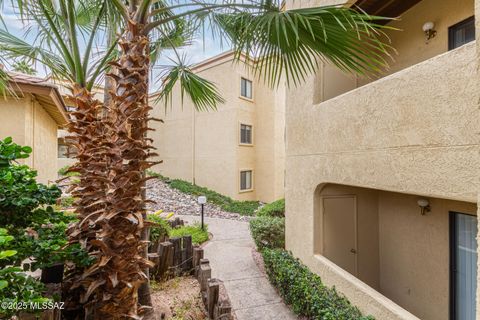 5500 N Valley View Road 207 Tucson AZ 85718