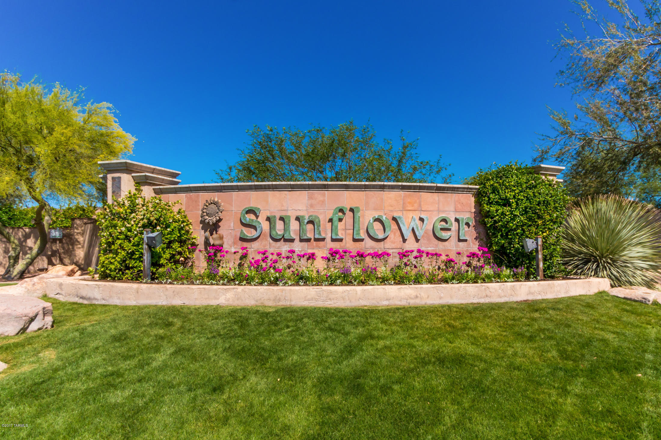 Continental Ranch Sunflower - Residential