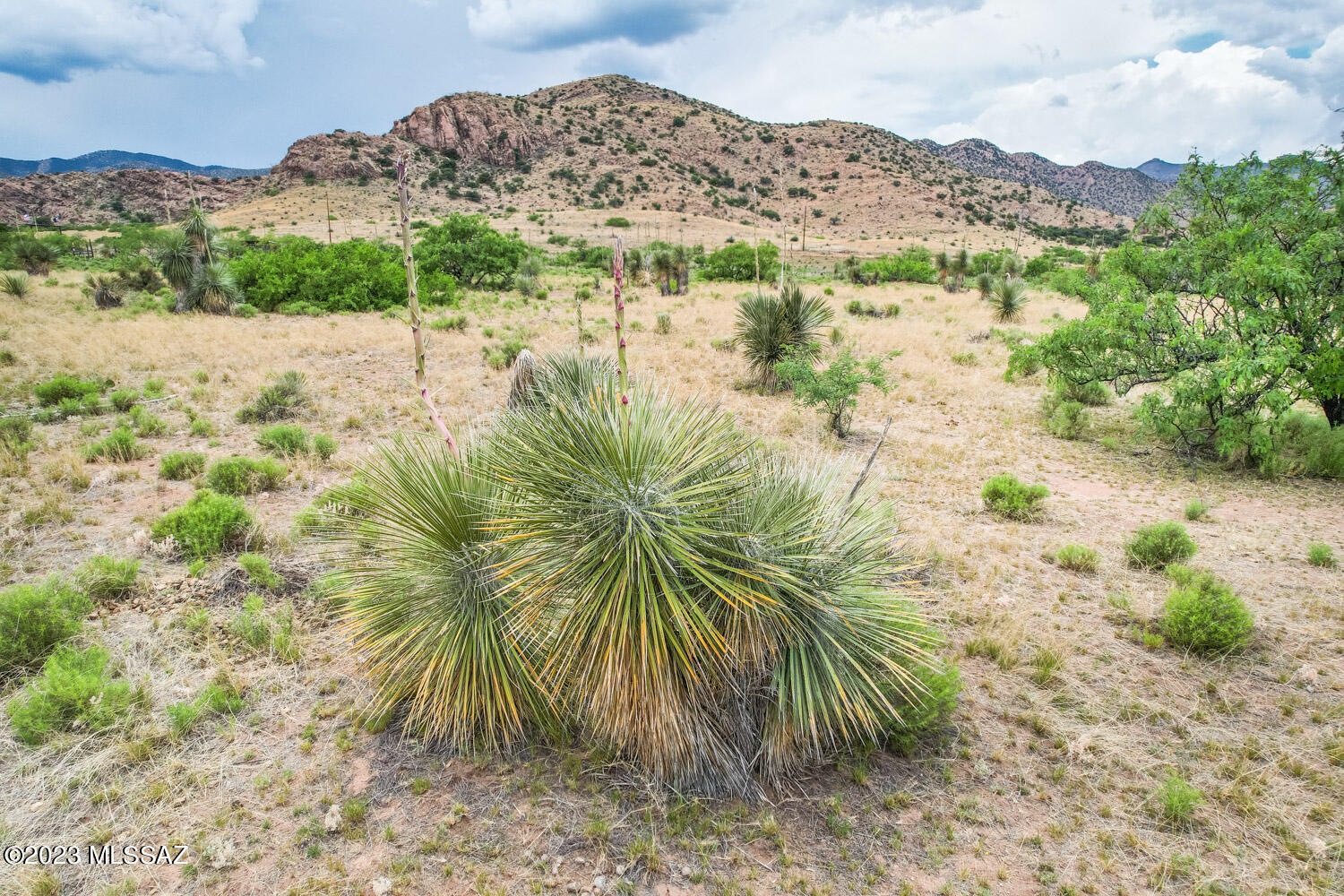 Arizona Sun Sites - Land