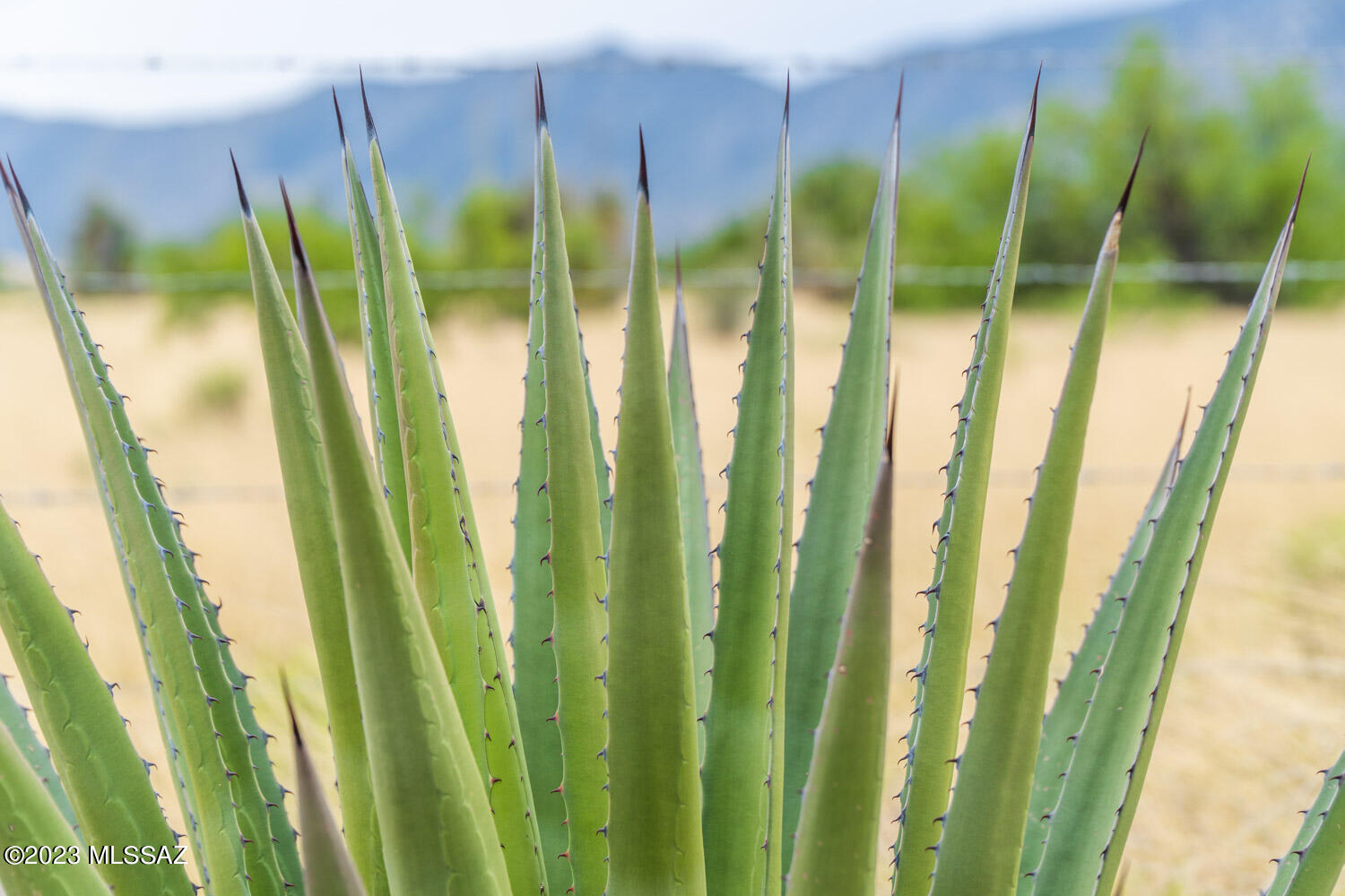 Arizona Sun Sites - Land