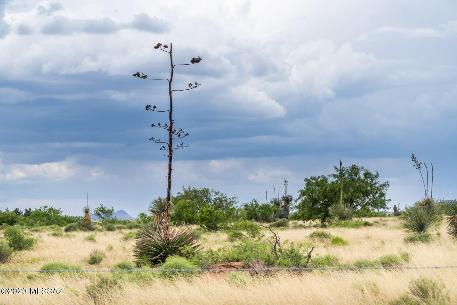Arizona Sun Sites - Land