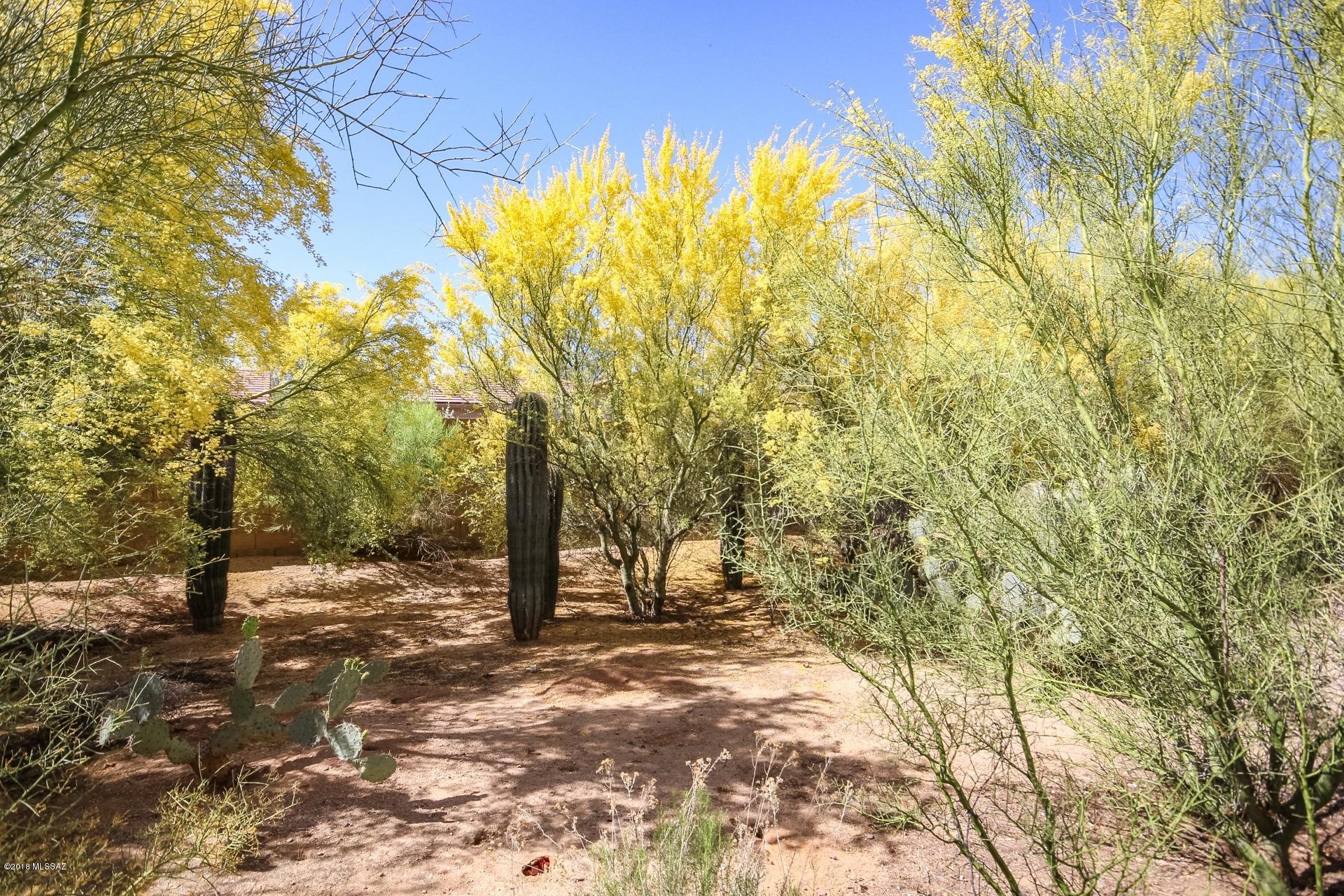 Moondance Estates(1-119) - Residential