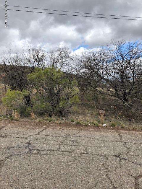 Rio Rico Ranchettes 10 - Land