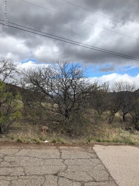 Rio Rico Ranchettes 10 - Land