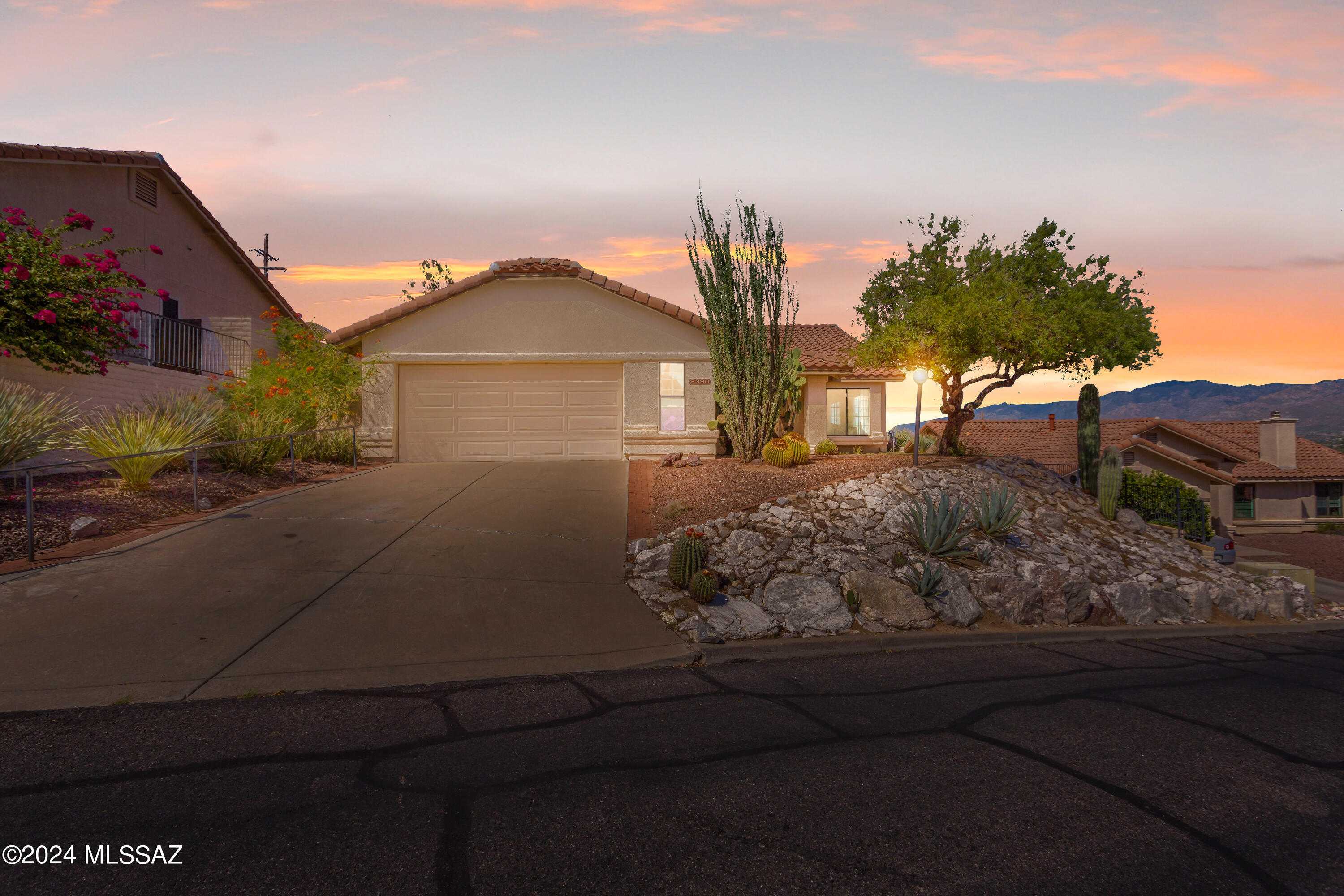 View Tucson, AZ 85742 house