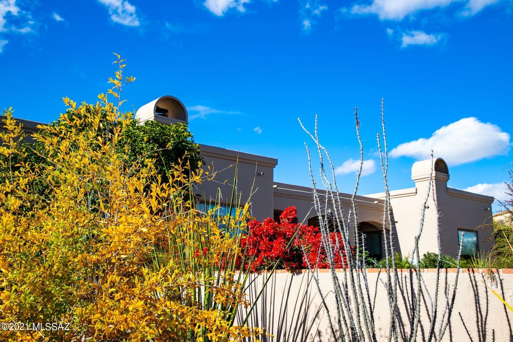 Tucson Mountain Reserve (1-124) - Residential