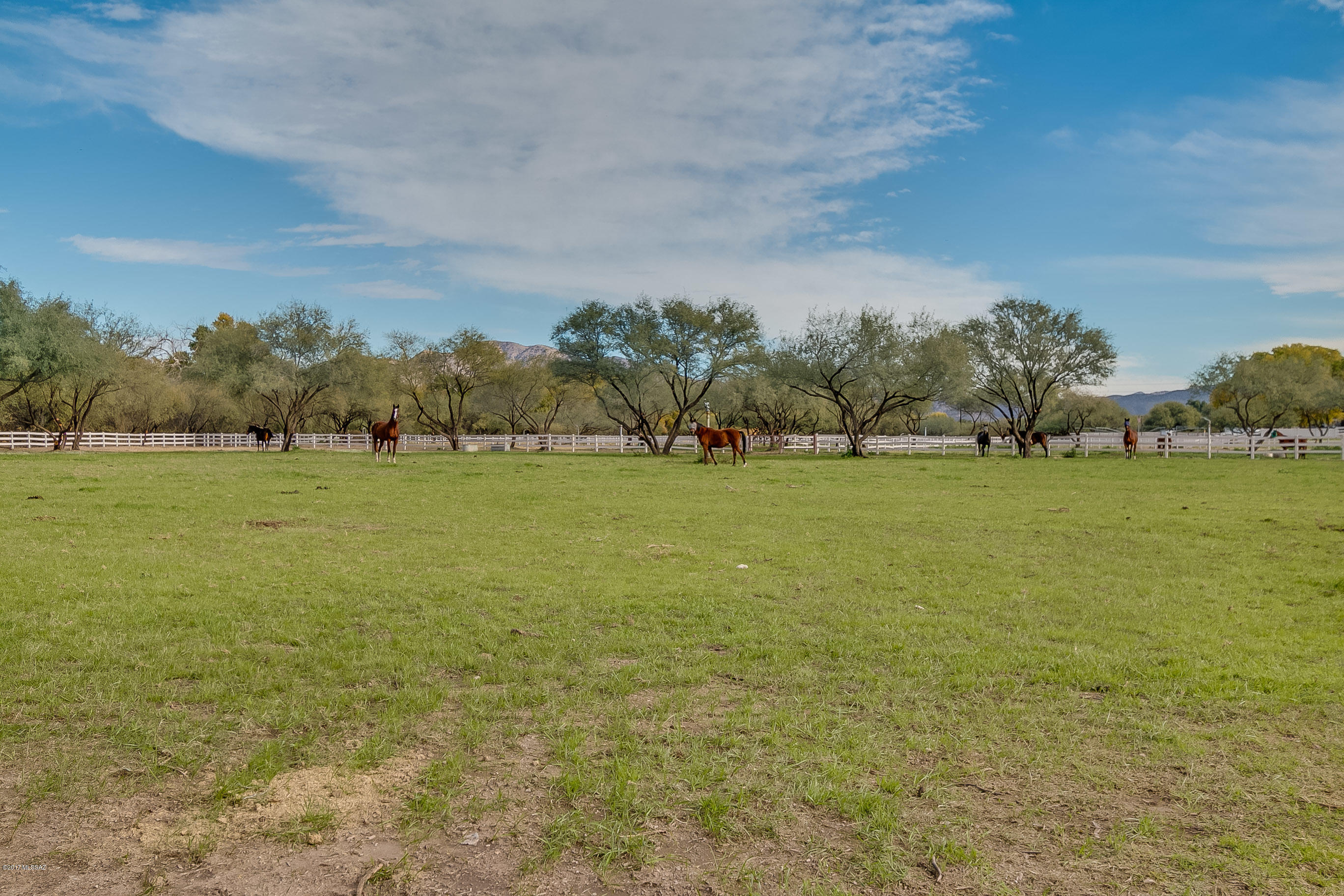 Santa Paula Ranch (1-10) - Residential