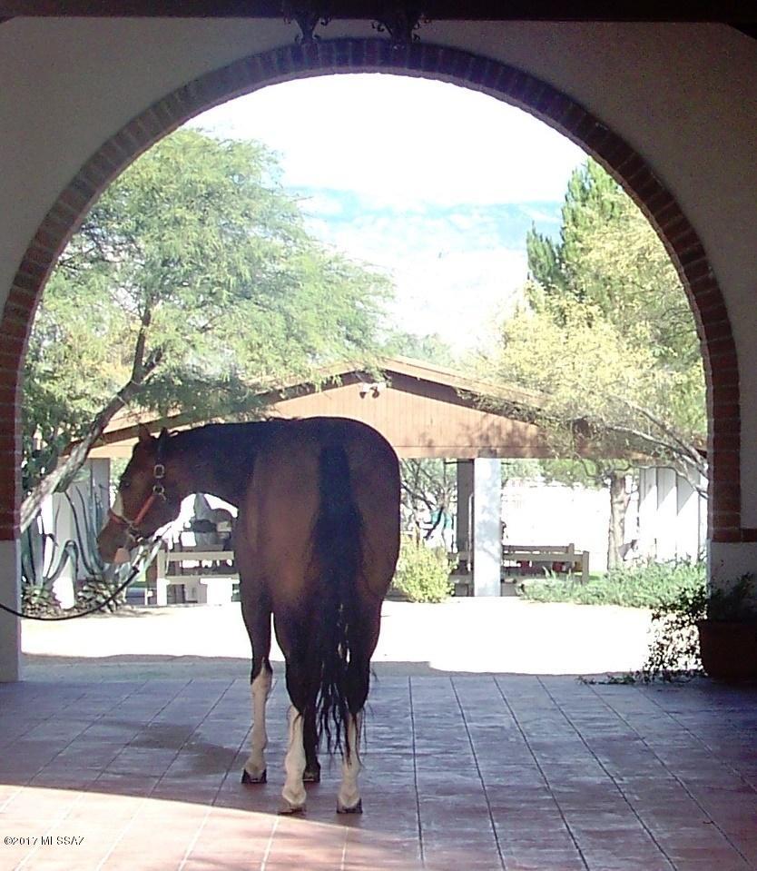 Santa Paula Ranch (1-10) - Residential