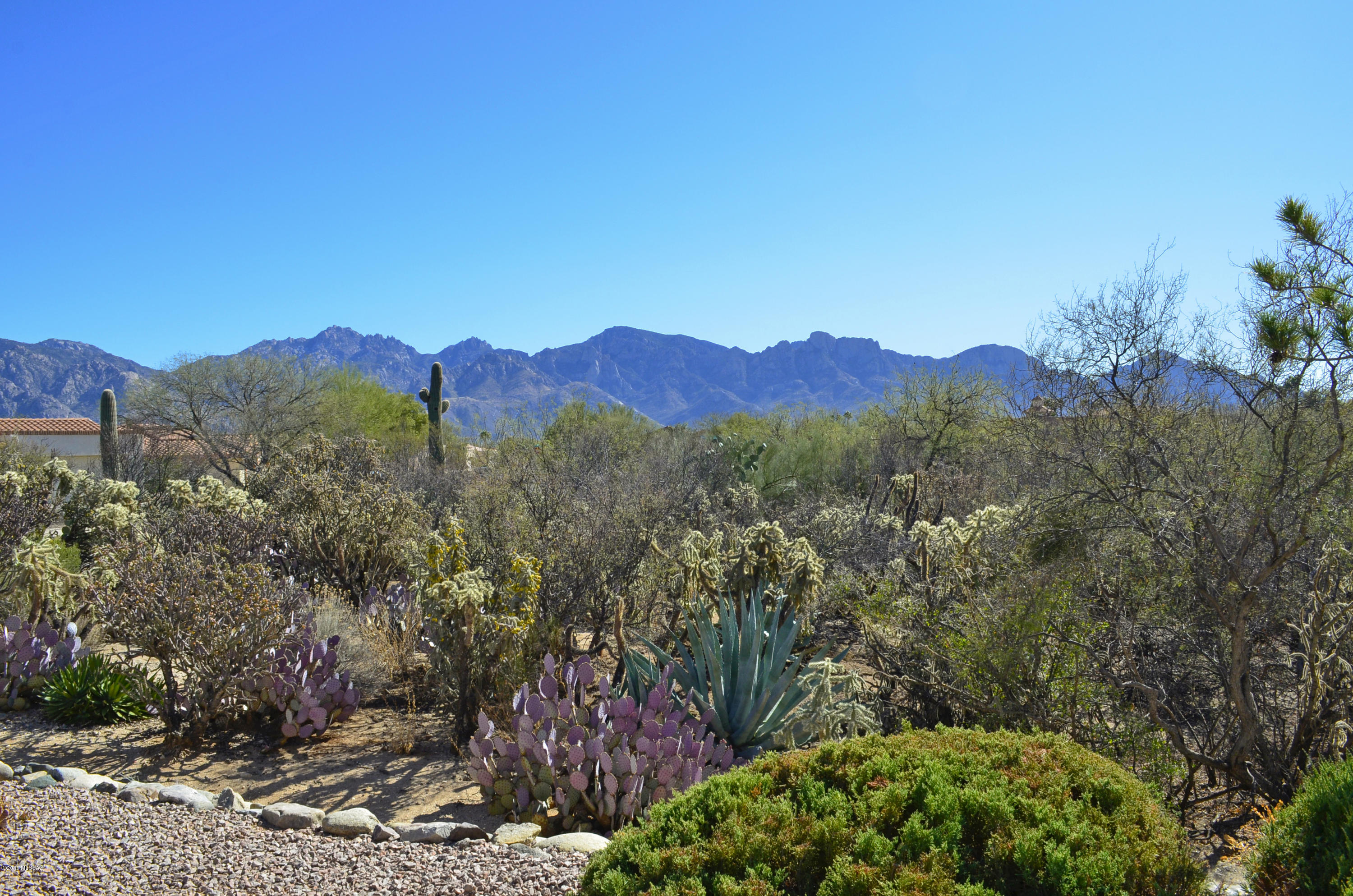 Sun City Vistoso Unit 3(1-193) - Residential