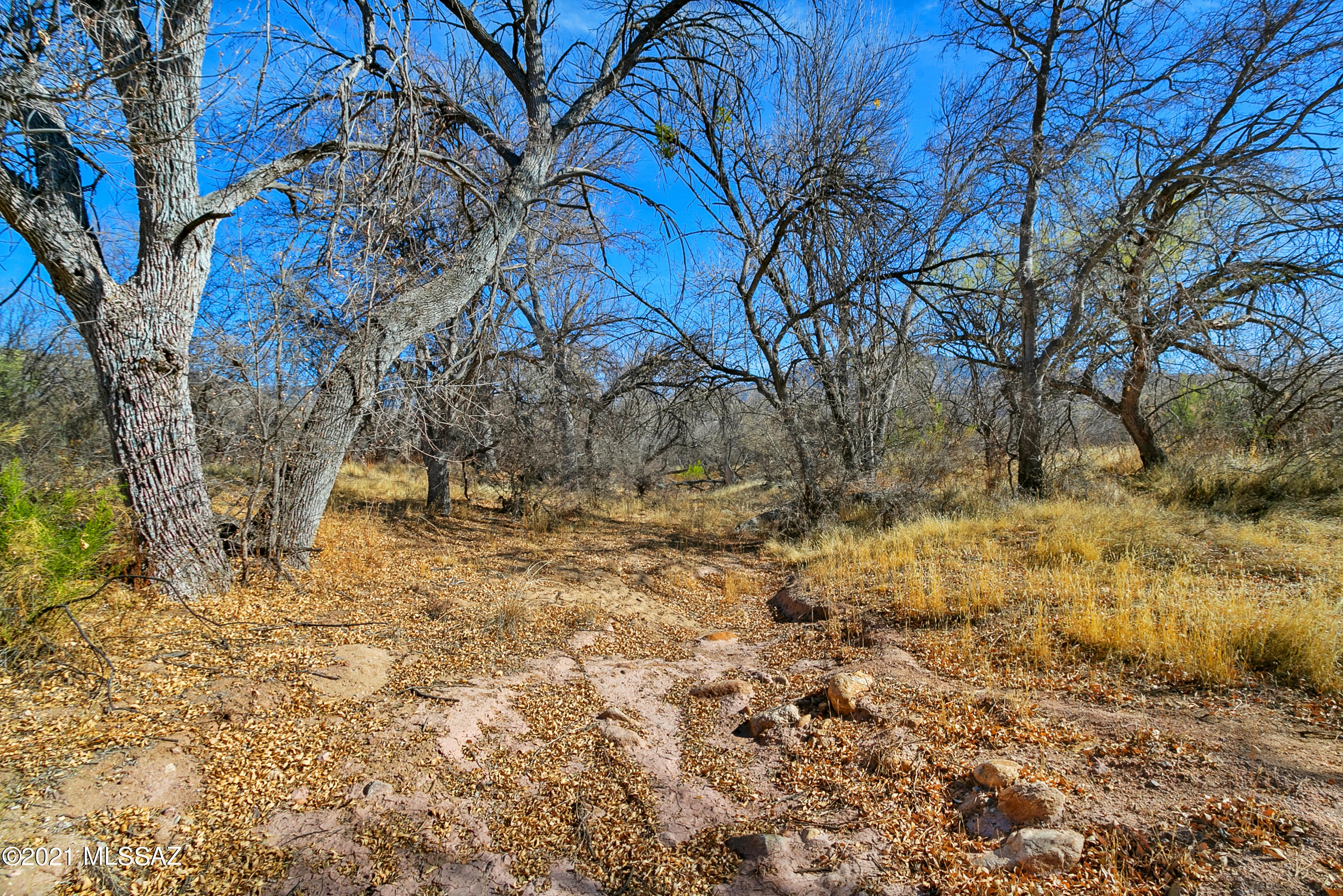 X9 Ranch - Land