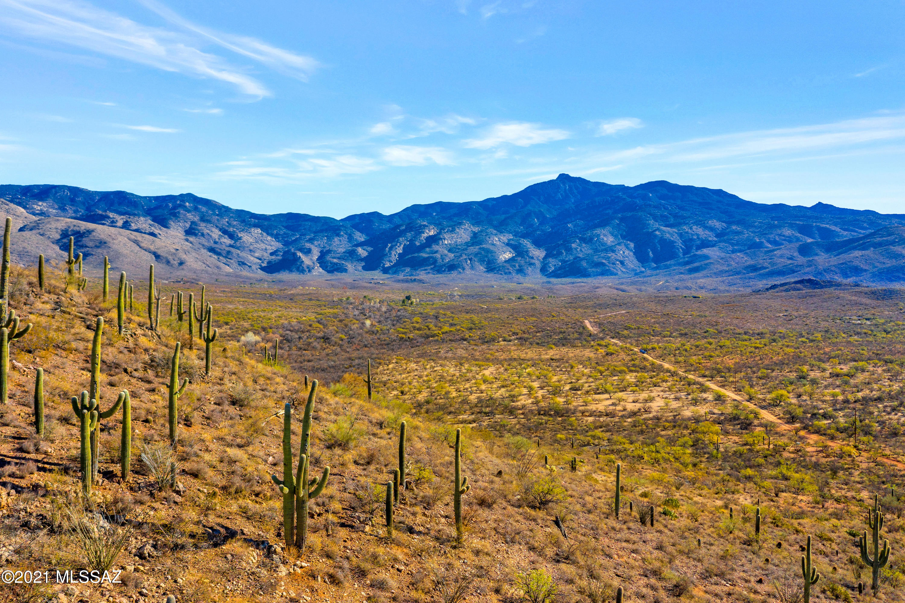X9 Ranch - Land