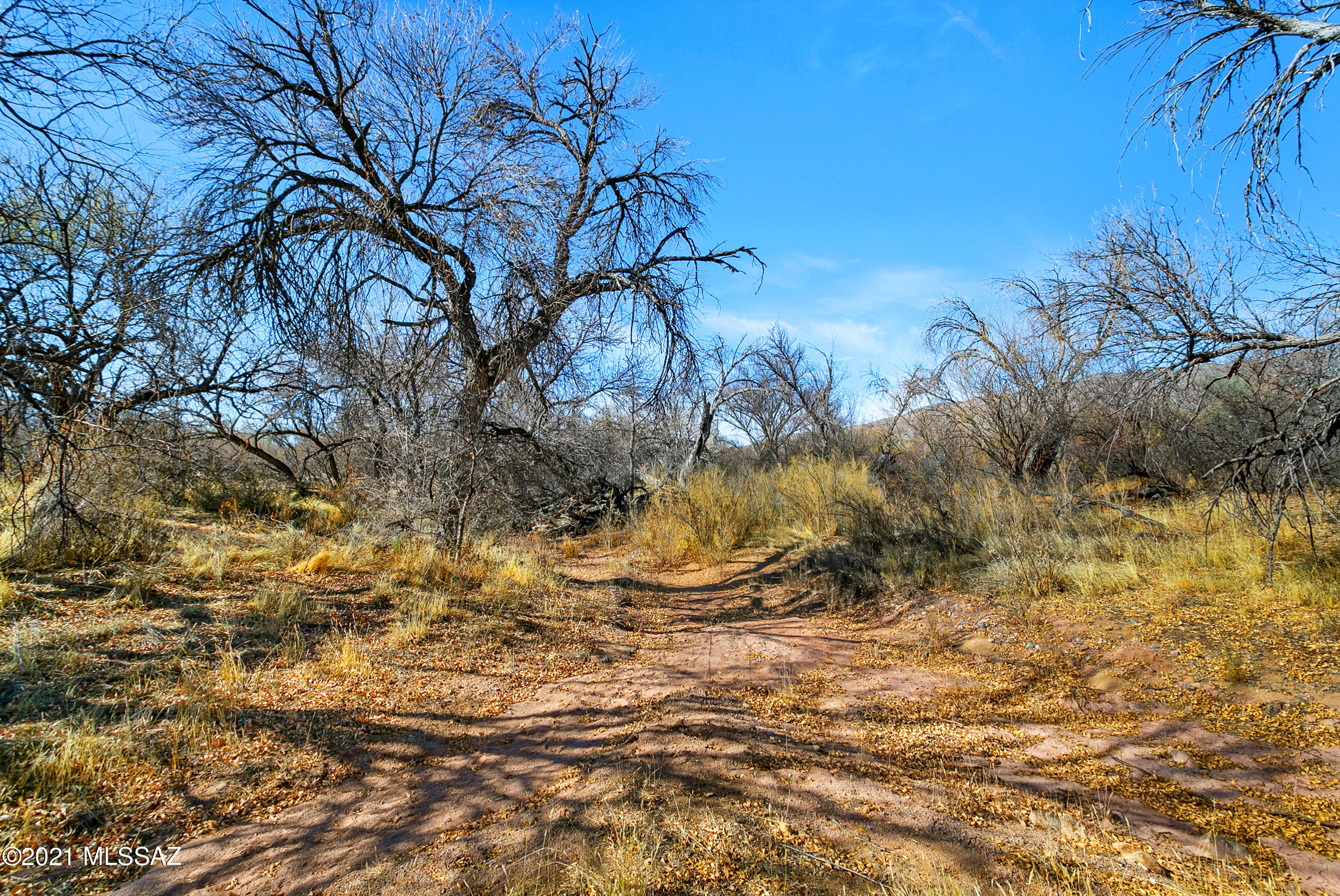 X9 Ranch - Land