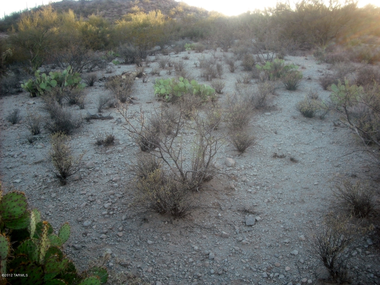 Coyote Pass Amended - Land