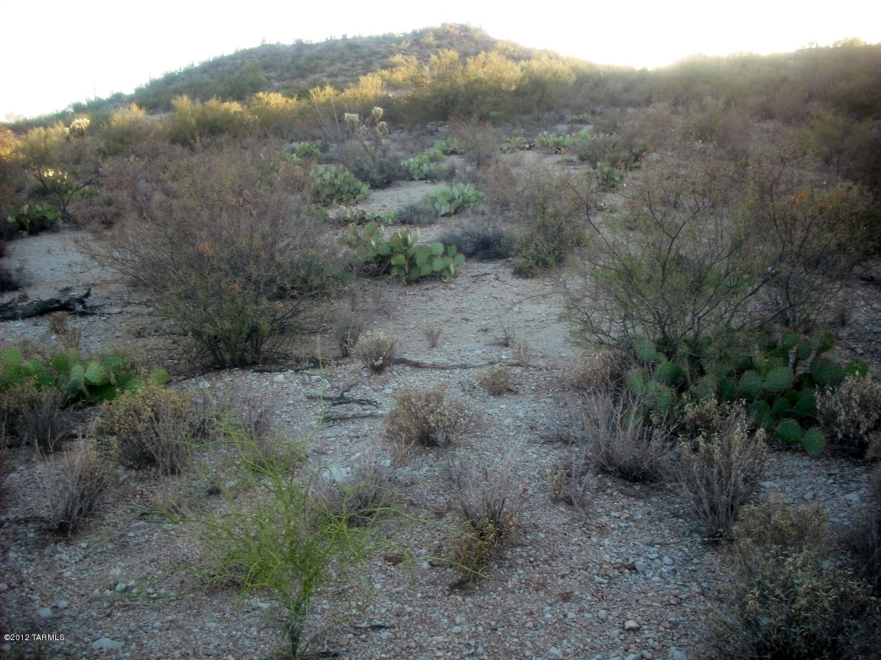 Coyote Pass Amended - Land