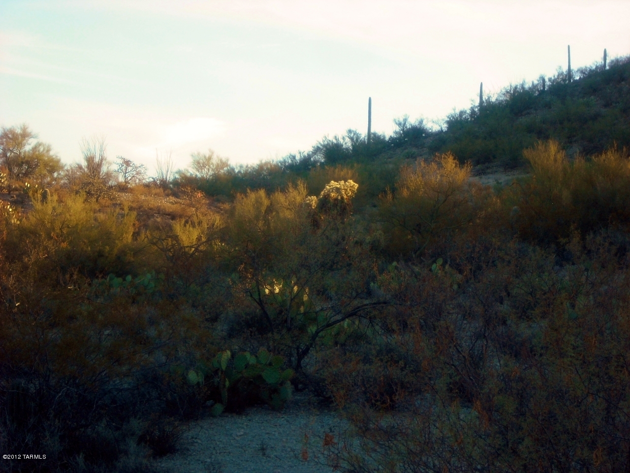 Coyote Pass Amended - Land