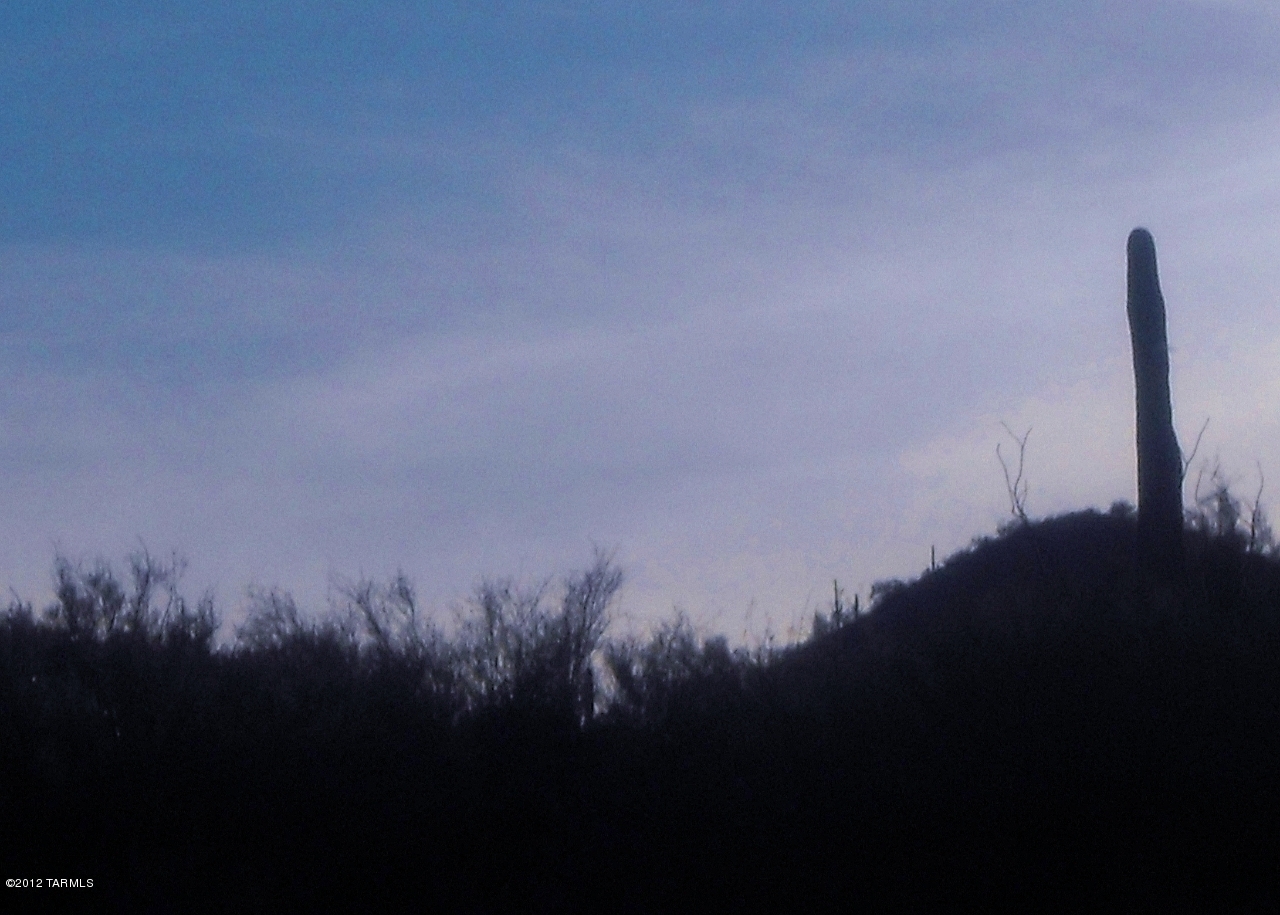 Coyote Pass Amended - Land