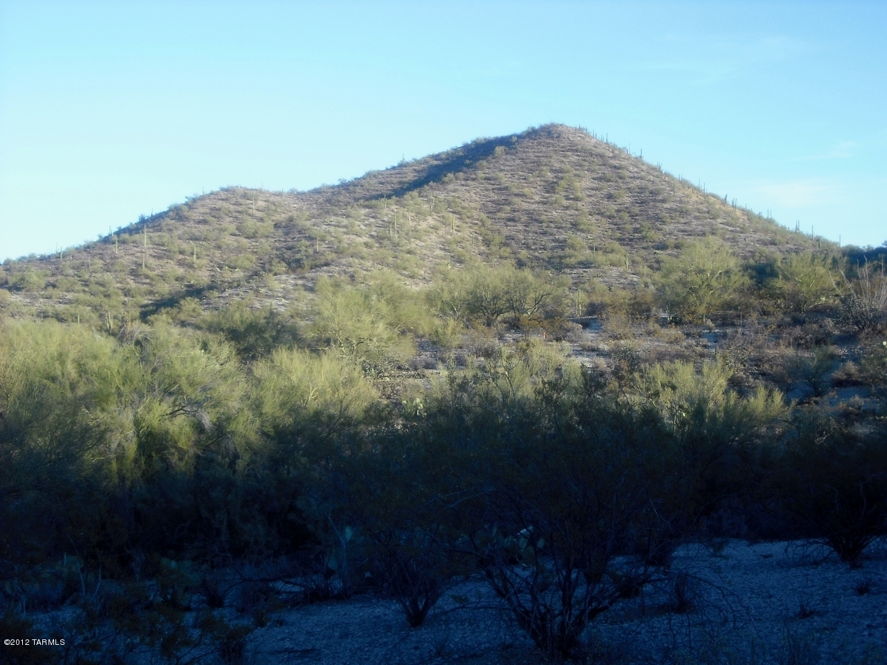 Coyote Pass Amended - Land