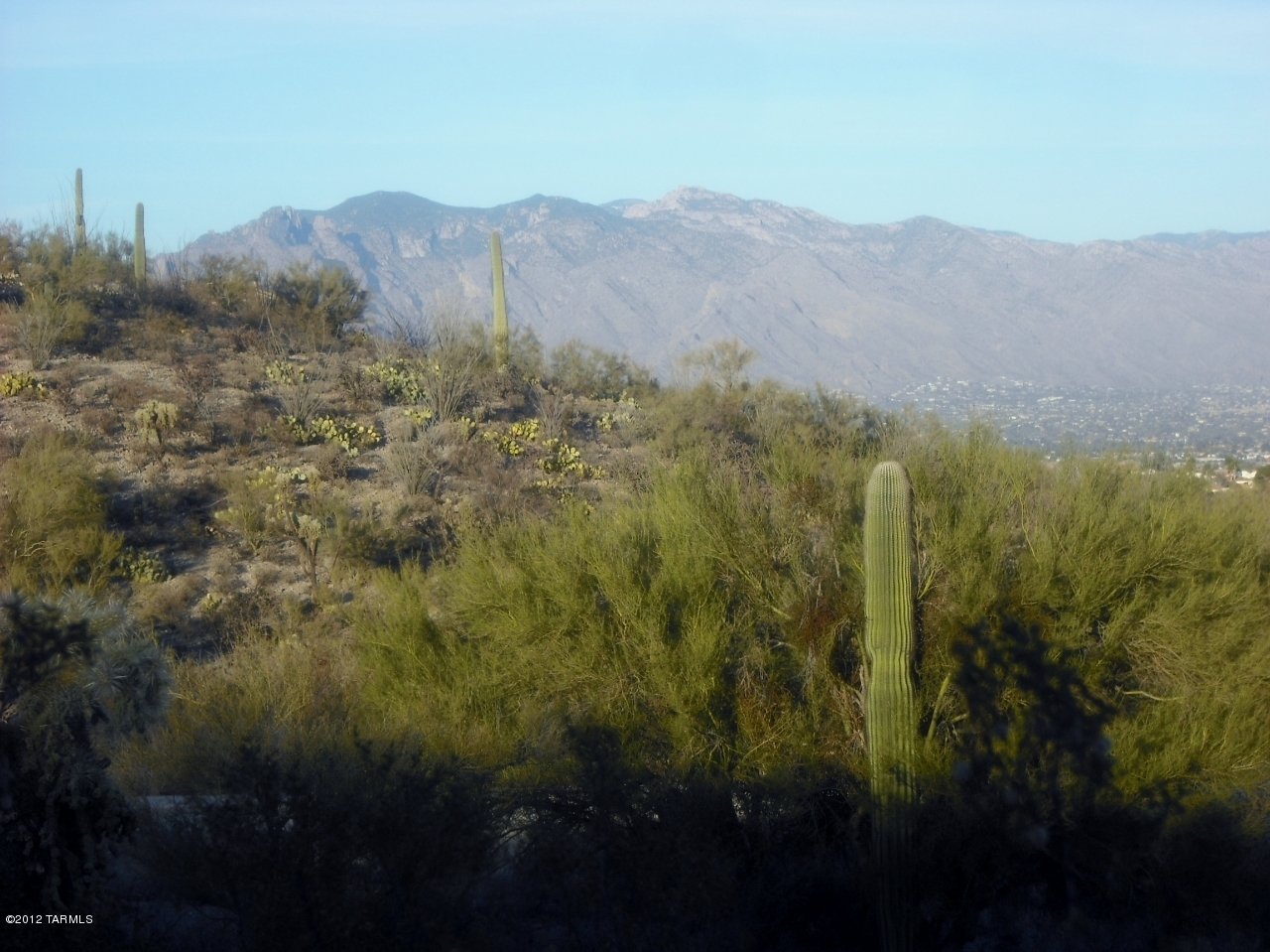 Coyote Pass Amended - Land