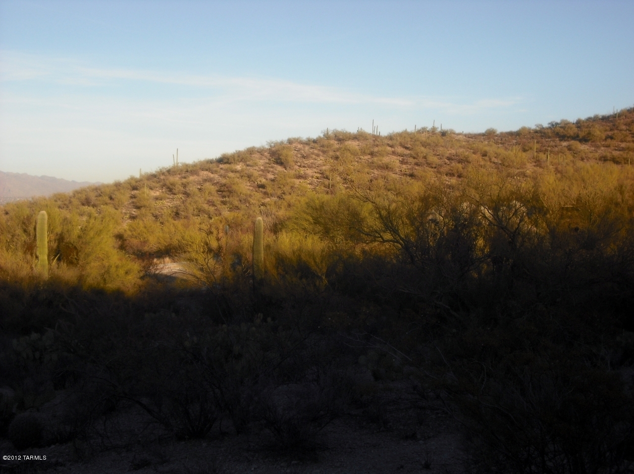 Coyote Pass Amended - Land