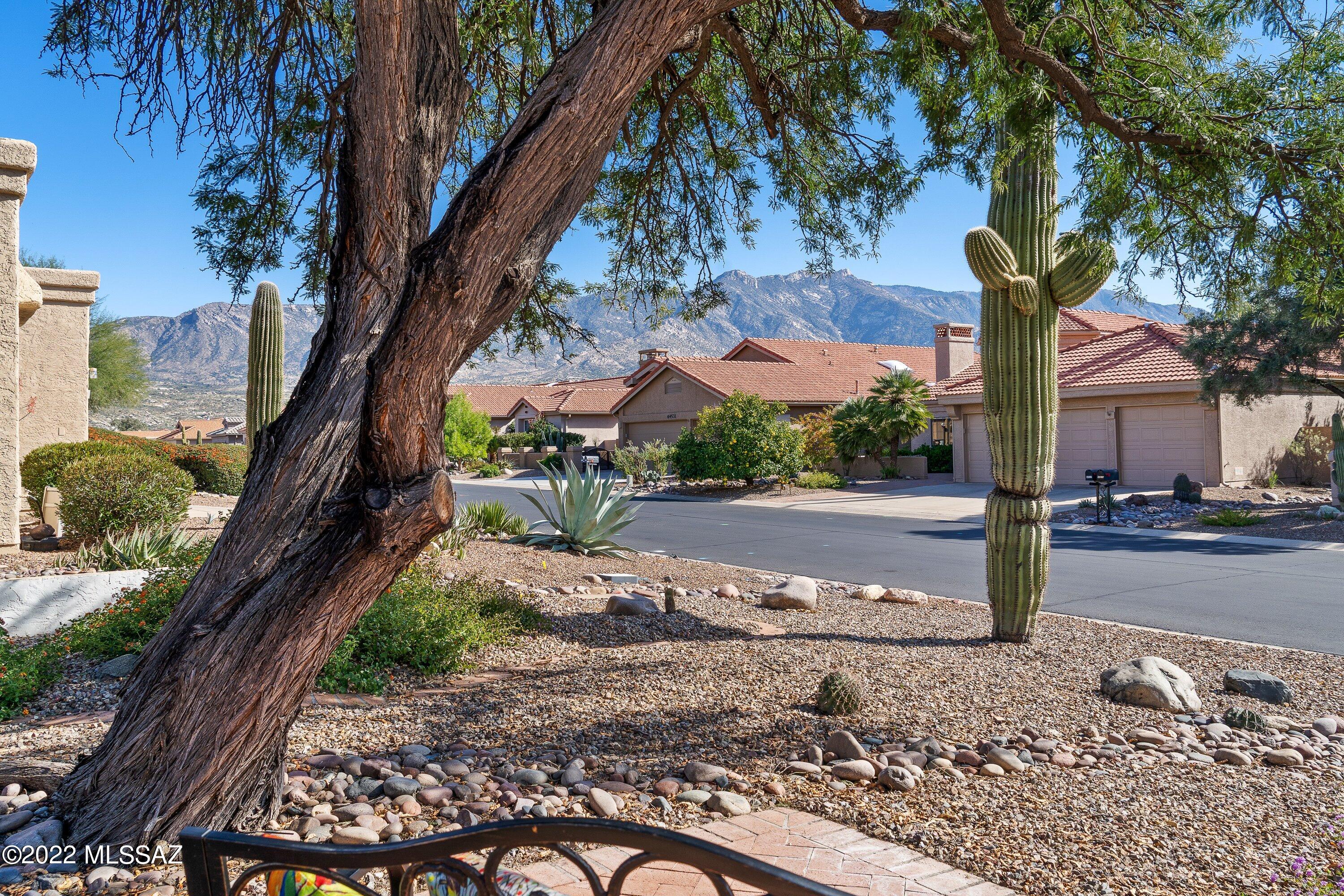 Saddlebrooke - Residential