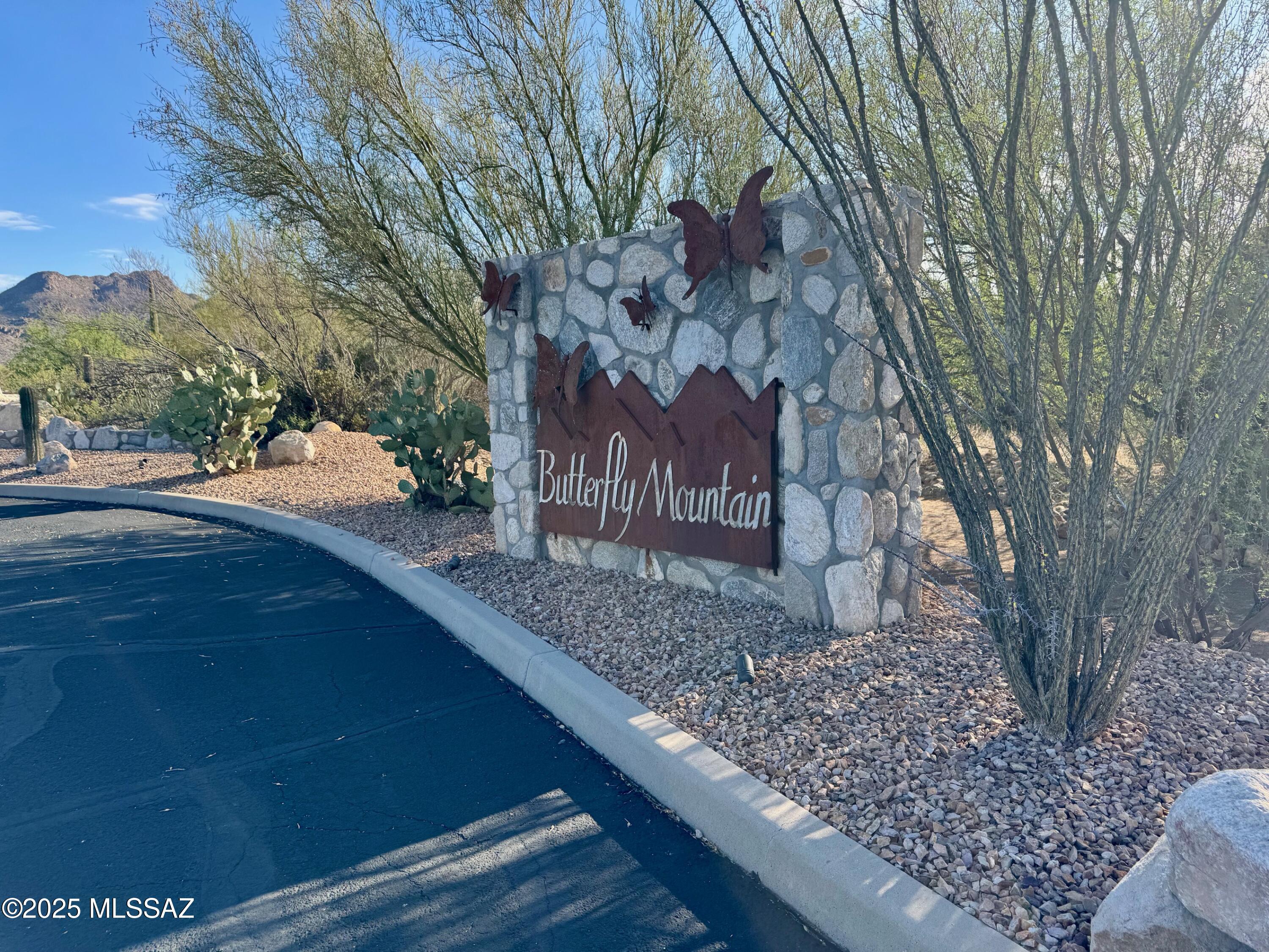 4334 W Butterfly Mountain Drive 8